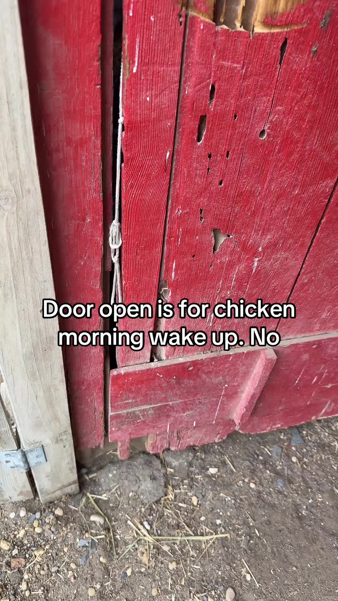 @No