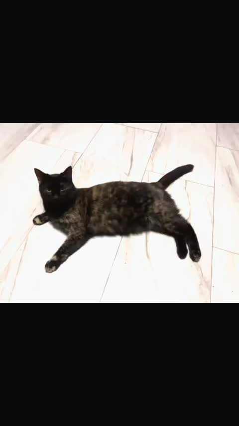 @๐ค๐๊งโฐ๊ค๐๐ณ๐๐โโฐ๊ง๐ฆ๐ฅ๐ชฝ๐ฆ ๐ฉต
