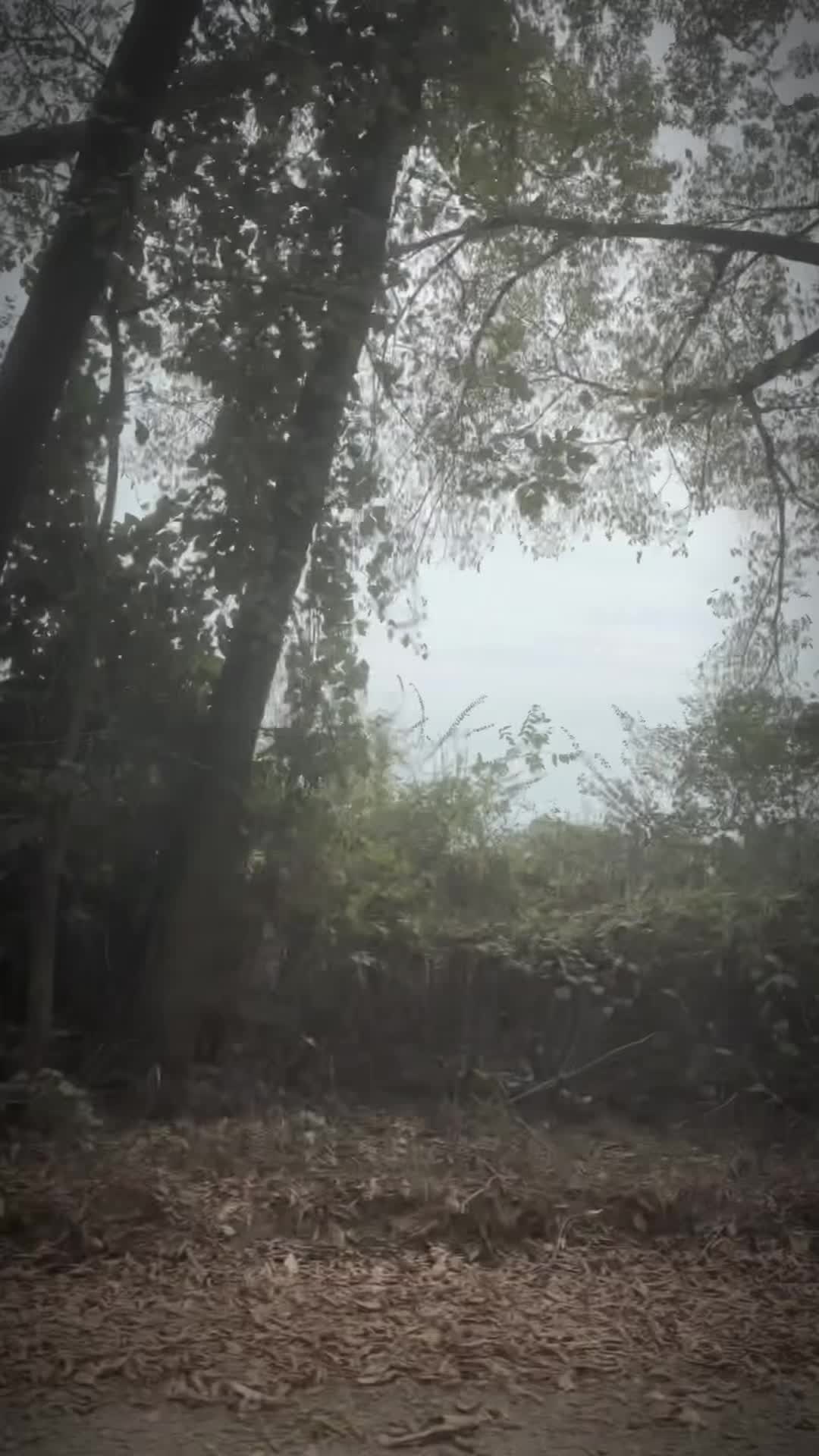 @Kayluhh.