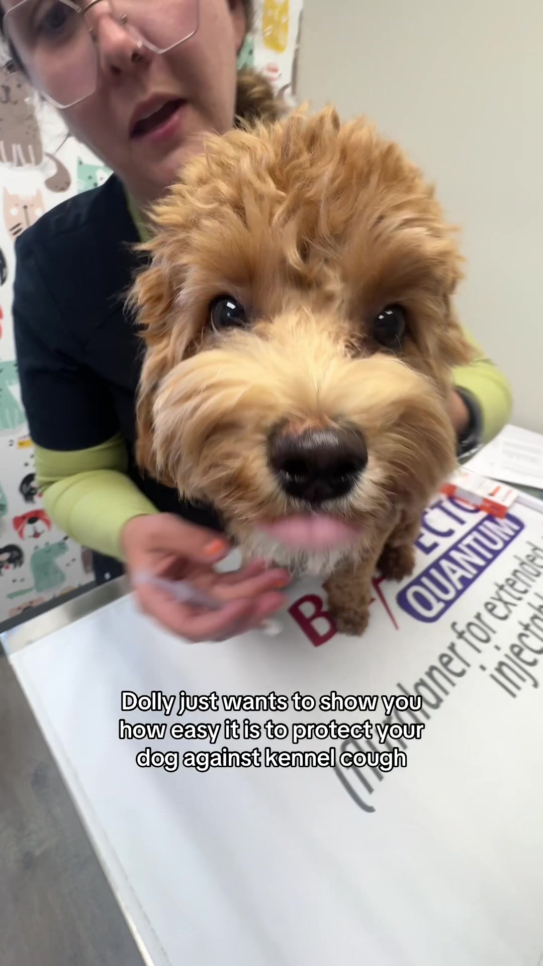 @Snodgrass Vet