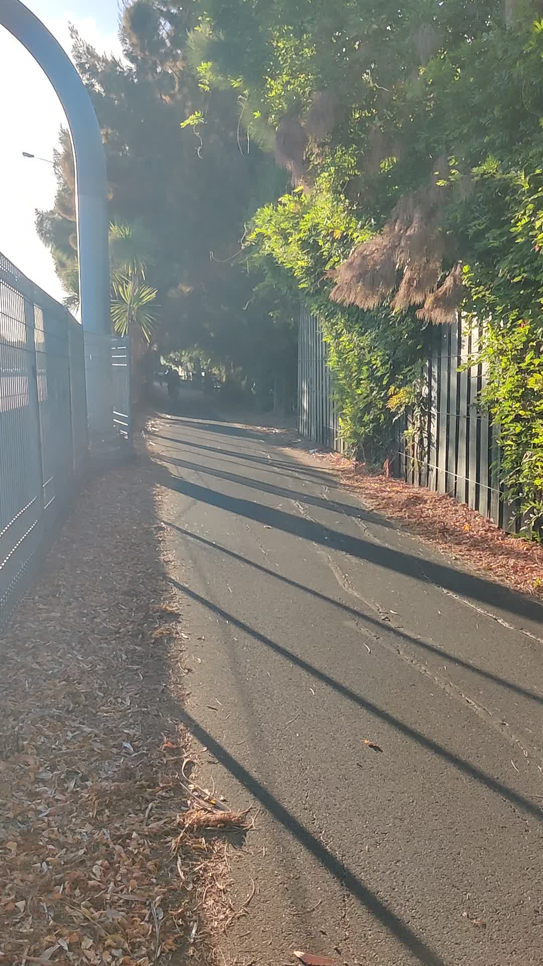 @Bike Auckland