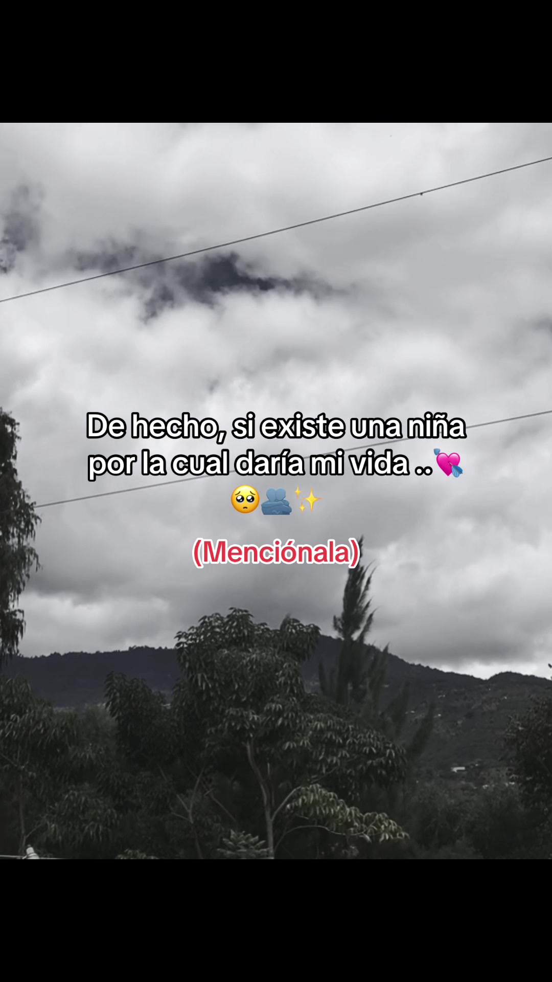 @🌓🐢Gaby🌓🐢