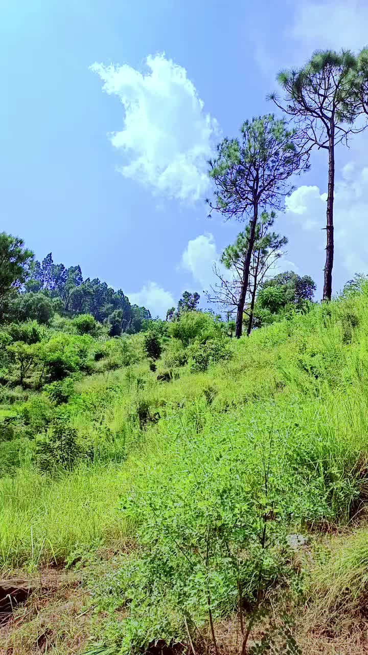 @@islamic video officiall