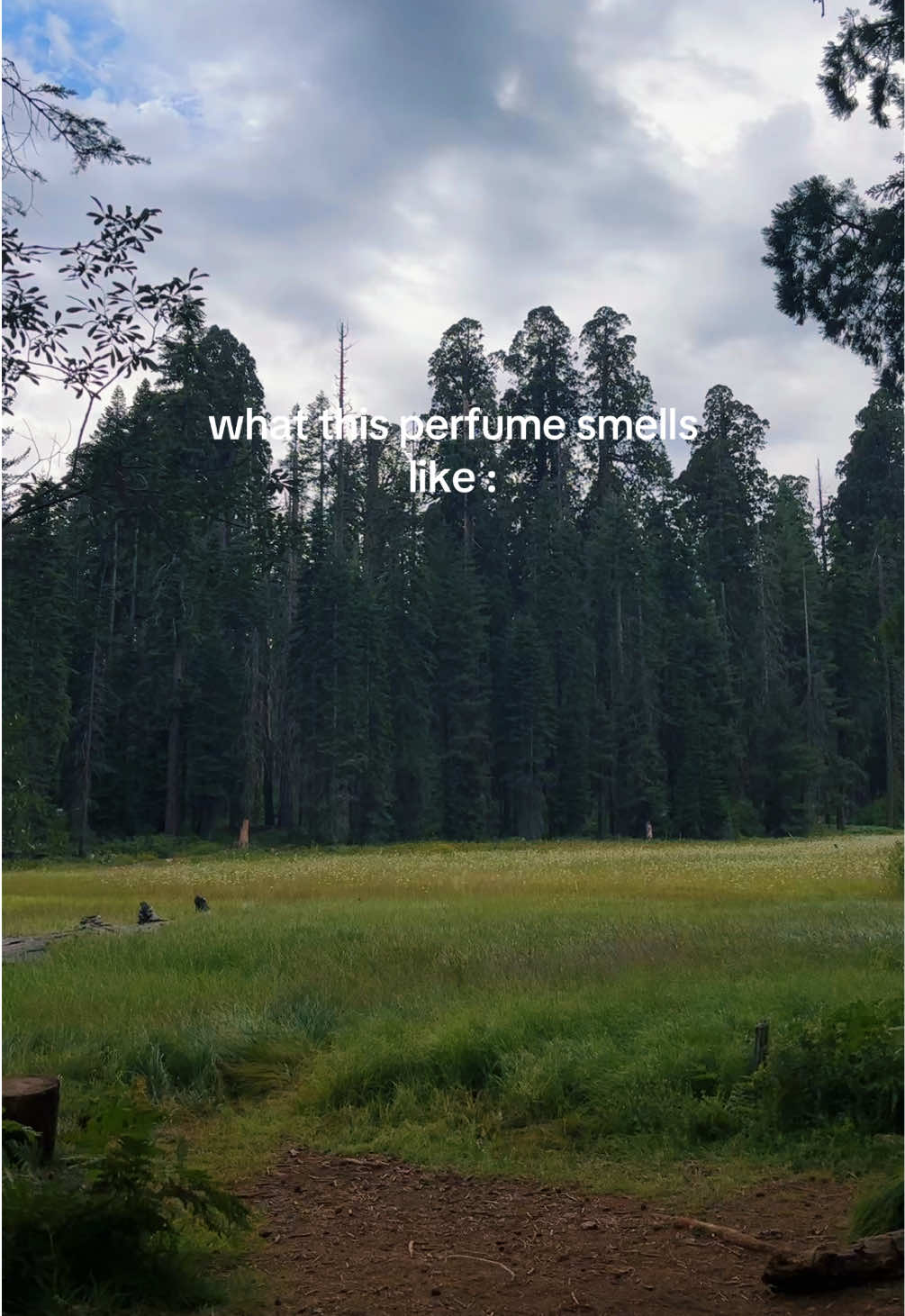 @Morgan Bell