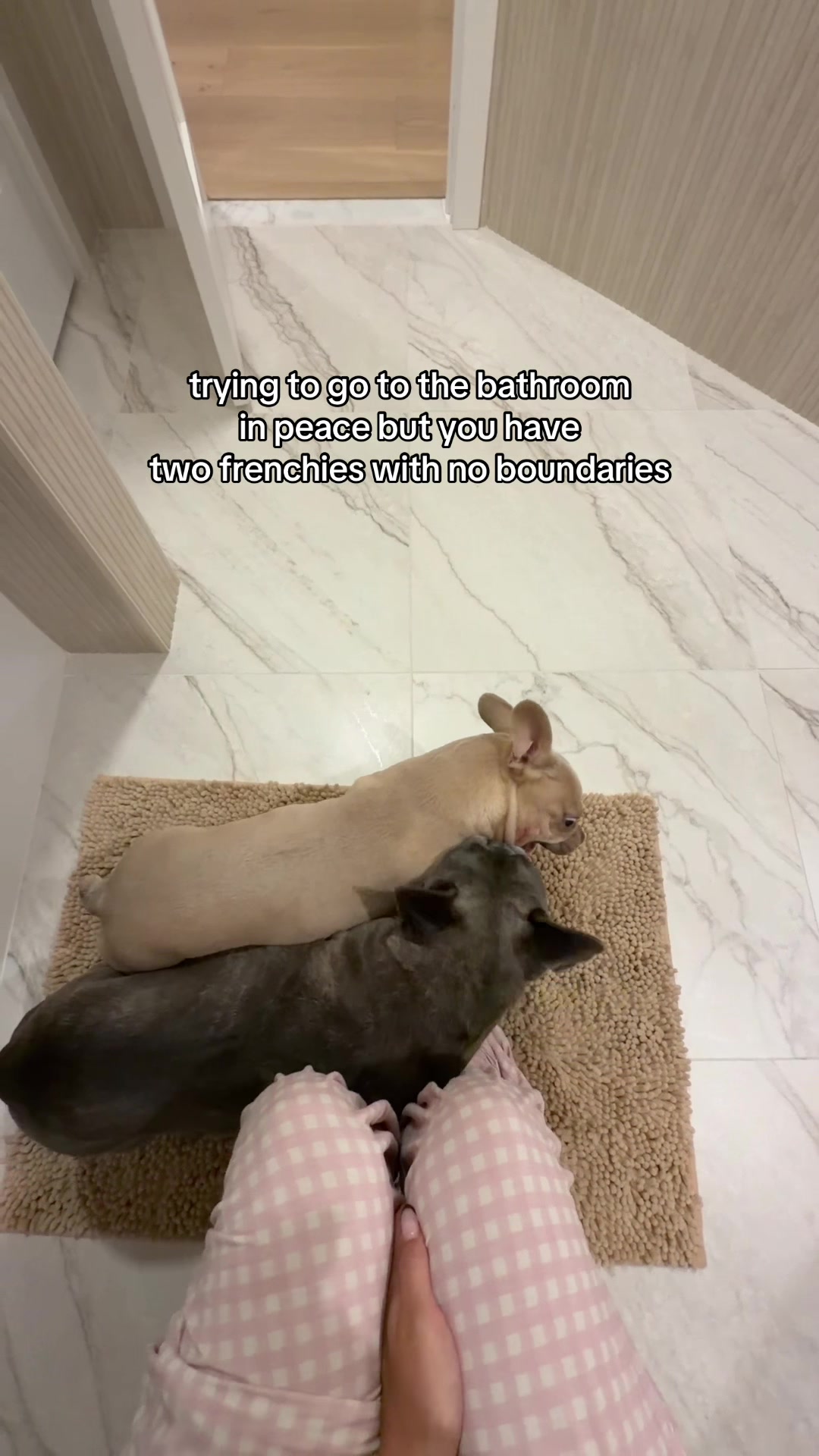 @Winston & Charlie ๐พ