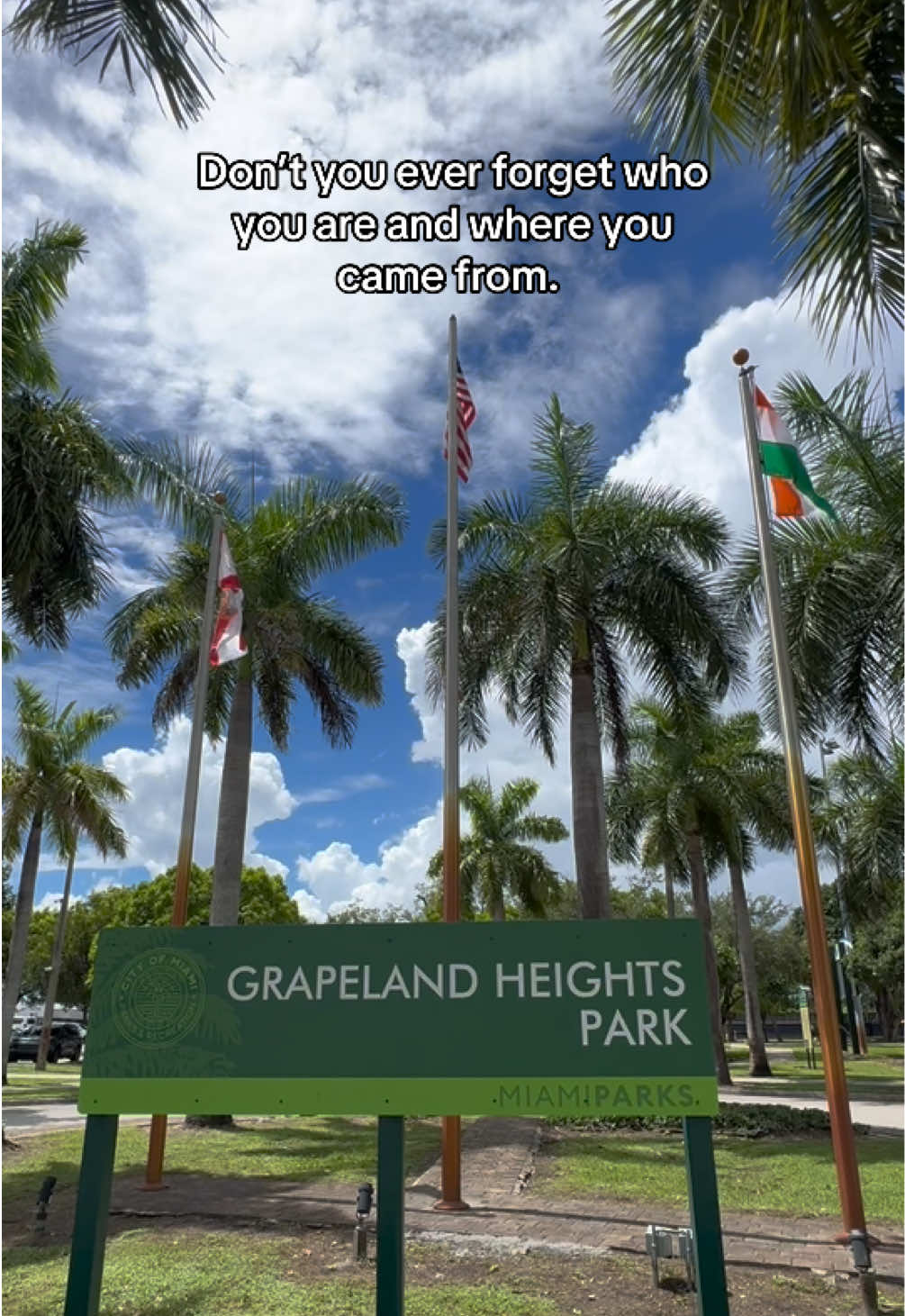 @Patricia | Miami Advocate