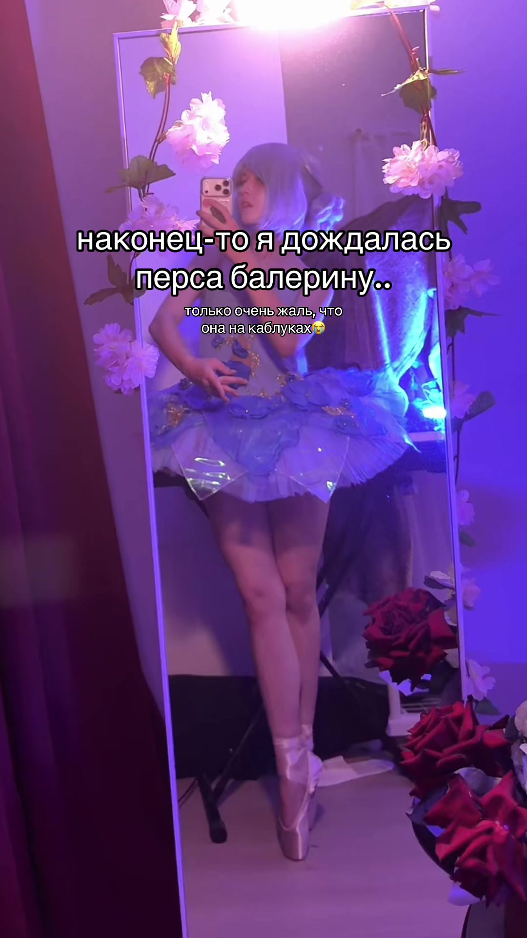 @тгк vivien & meowmulia˚✧₊