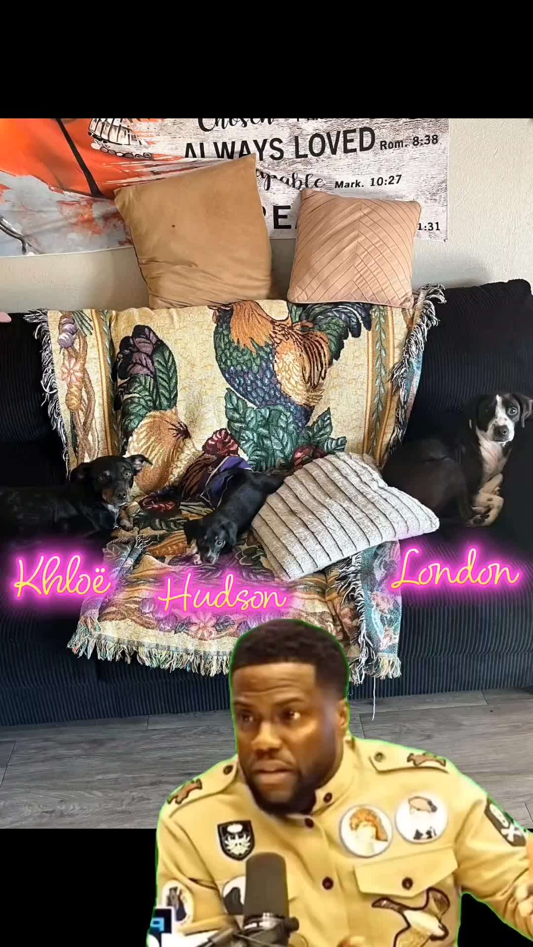 @HarlemHoney