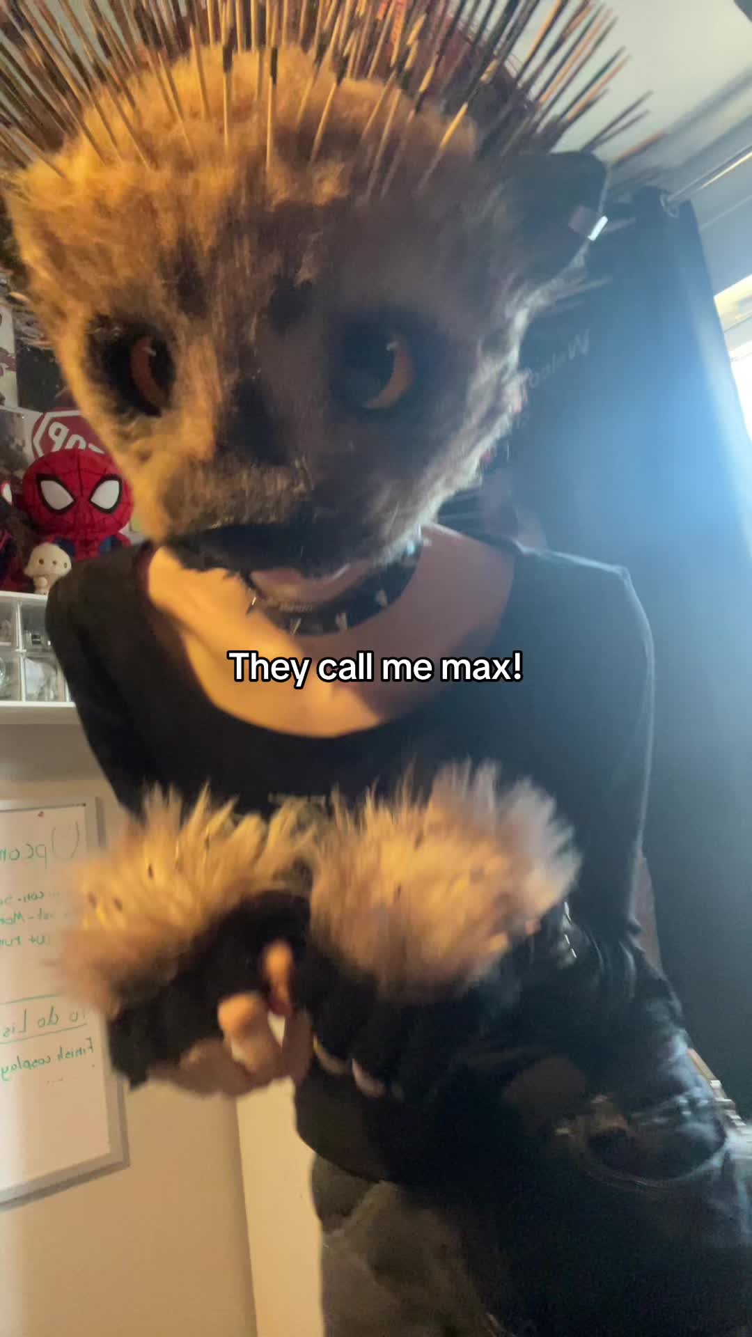 @🐾Max!🦔