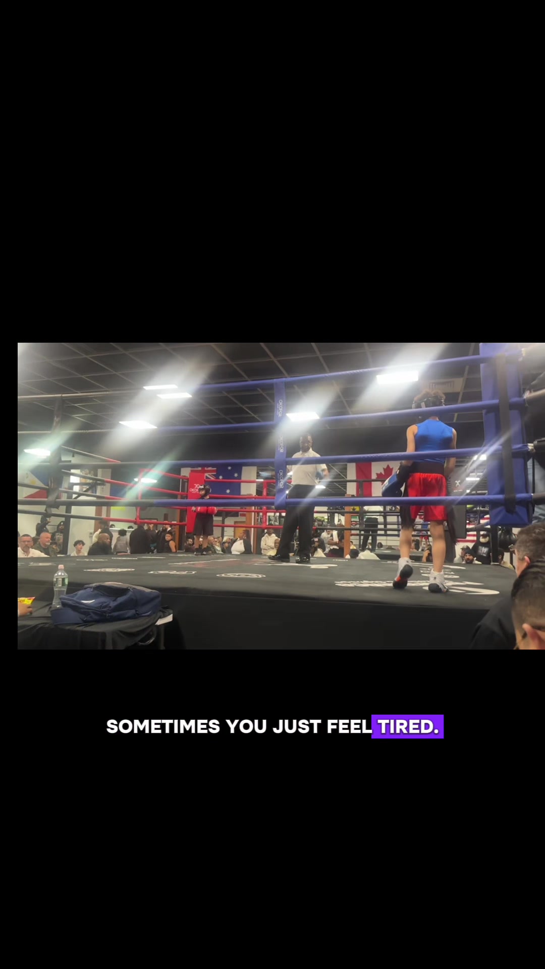 @Boxer fan