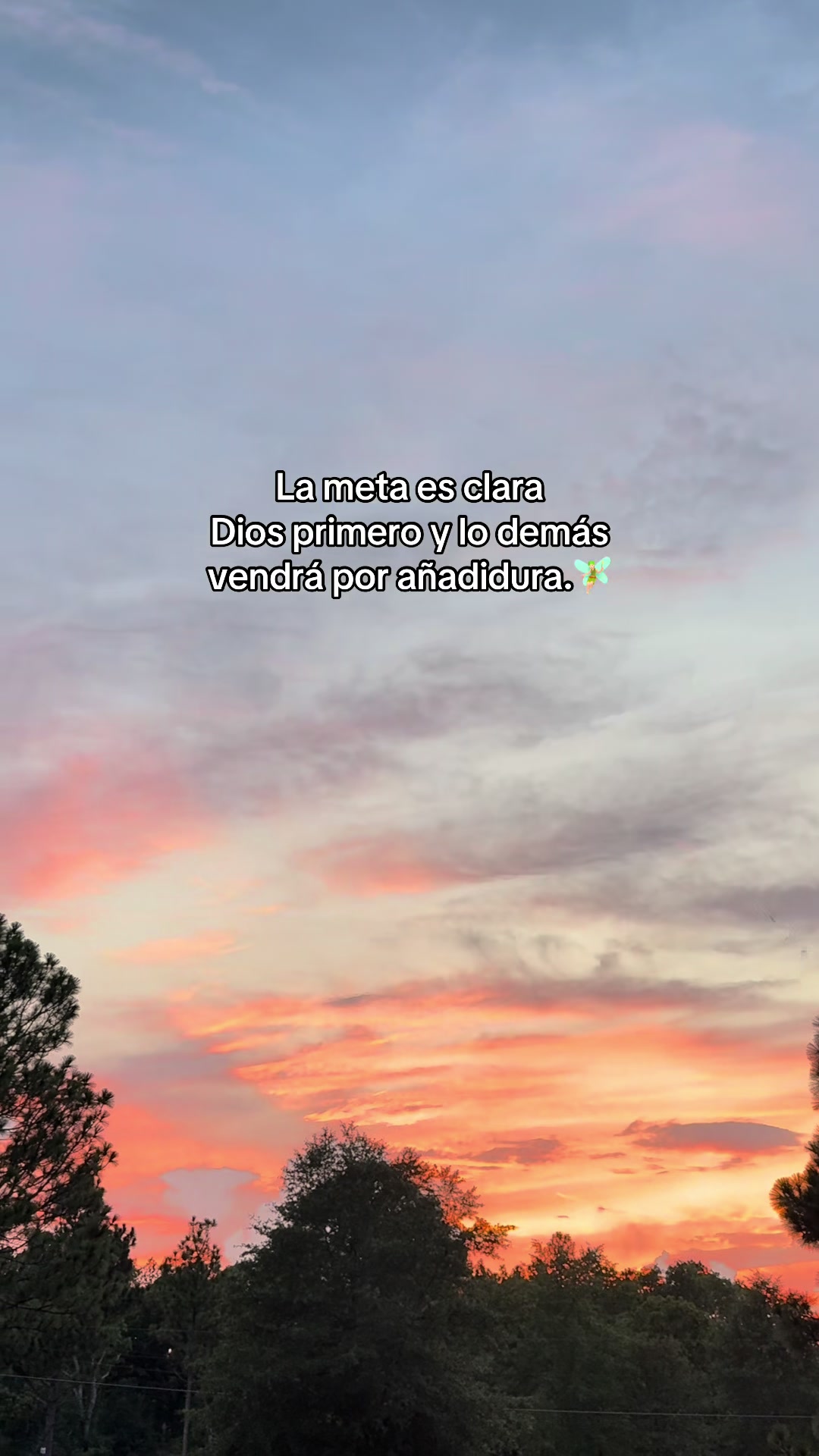 @🧚🏻
