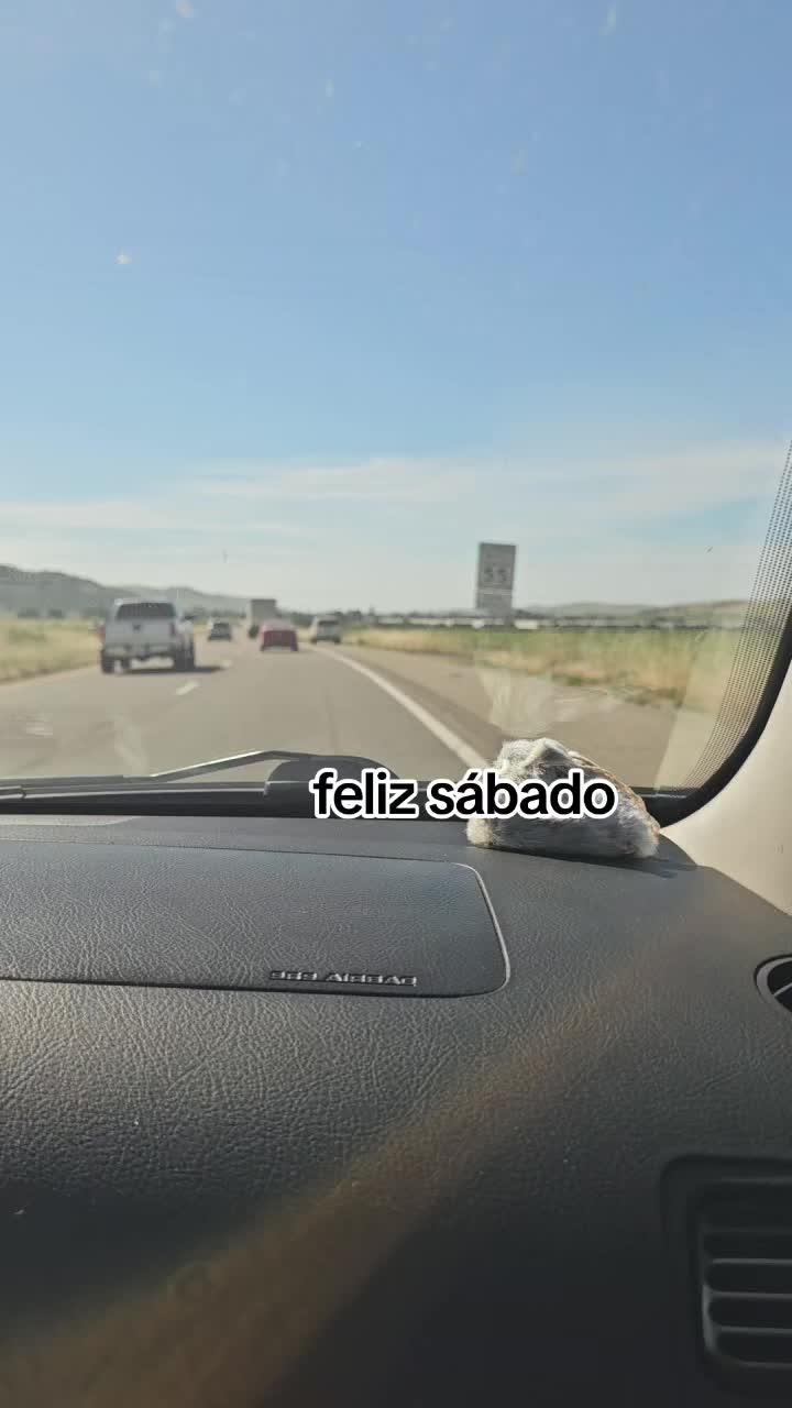 @🇲🇽🐦&zwj;⬛🪺VASQUEZ🚚🌪💎