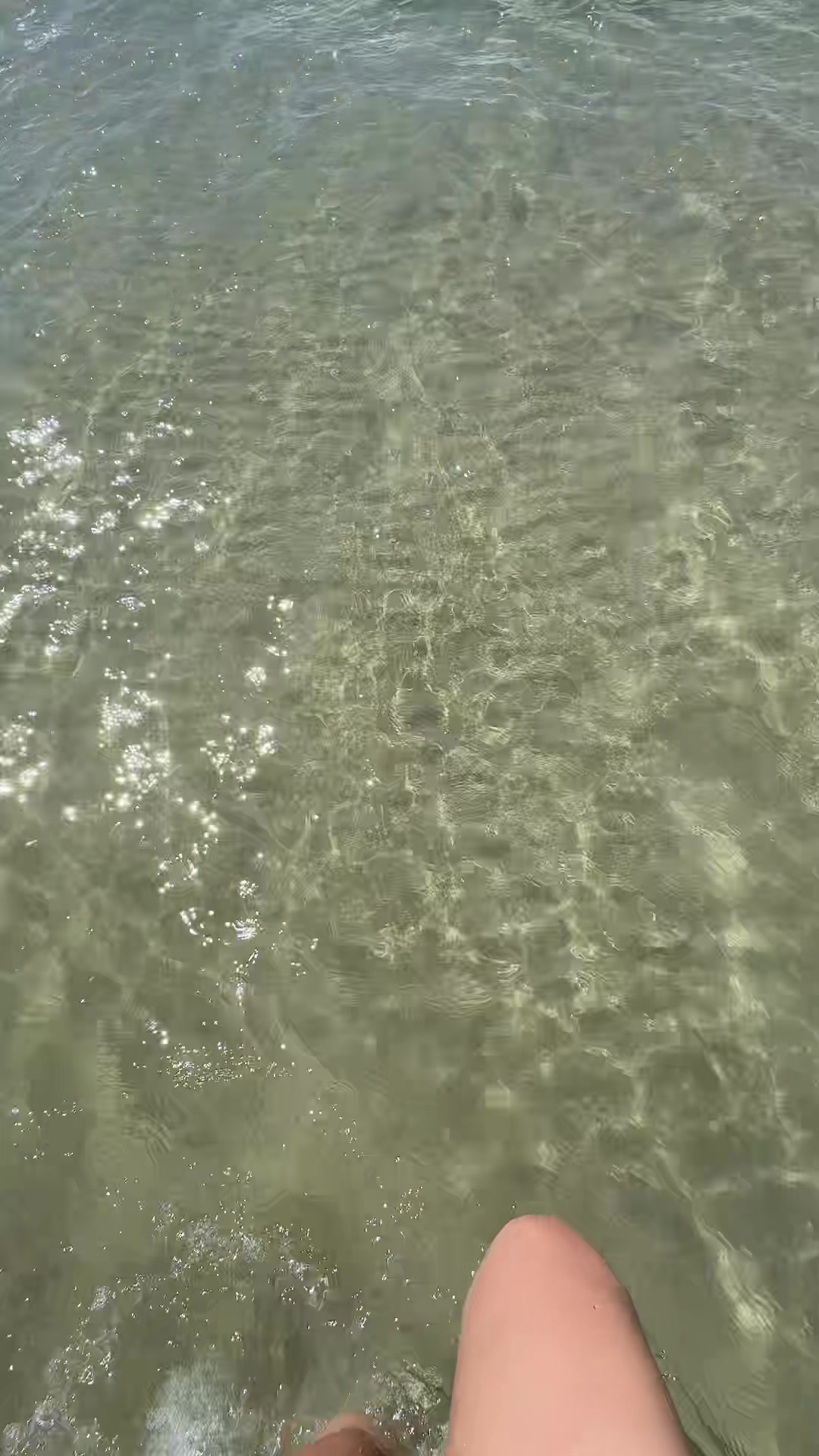 @snchzcynnn