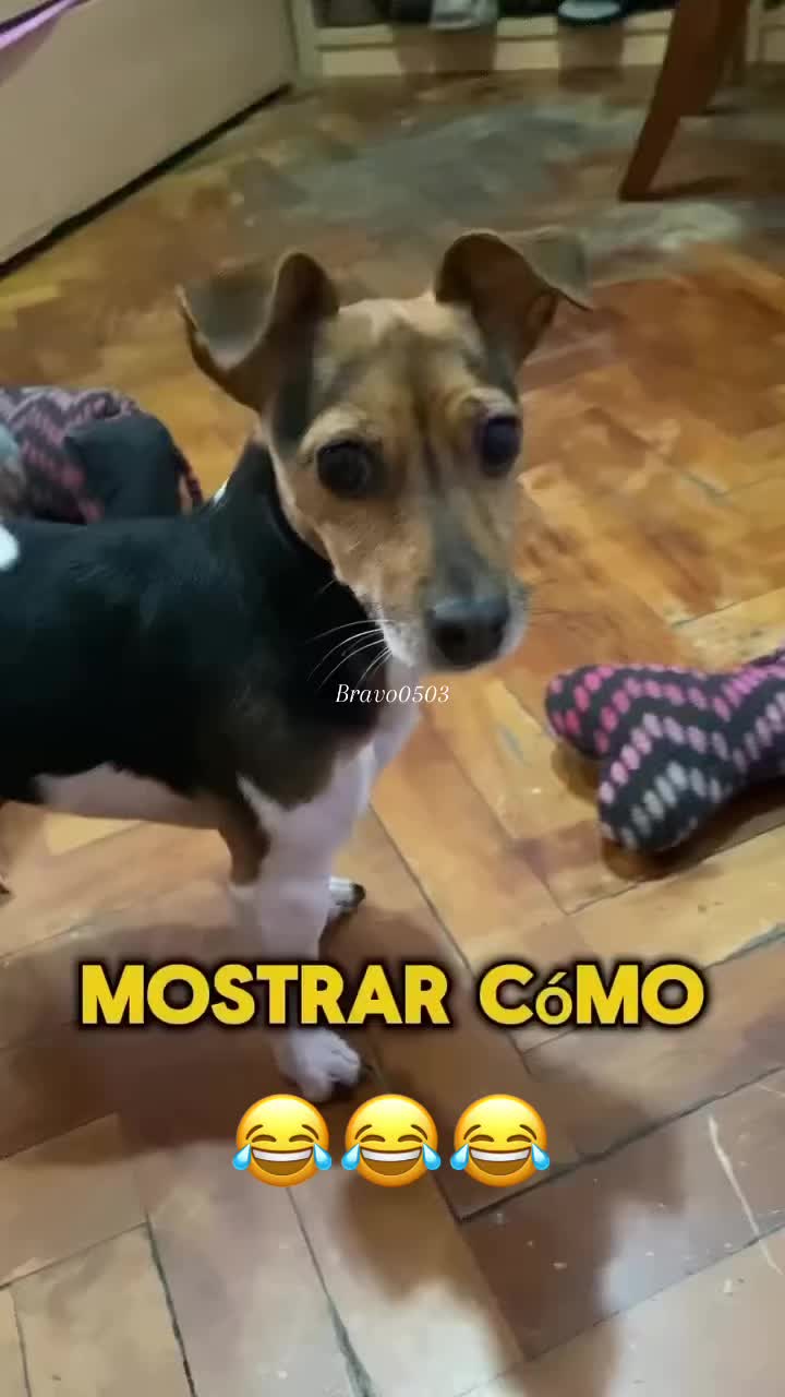 @Bravo0503