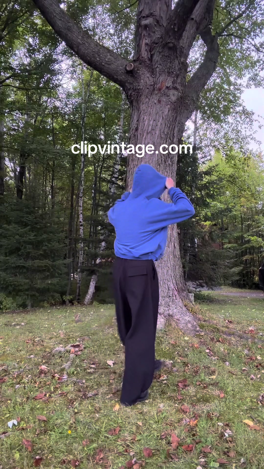 @clipvintage2