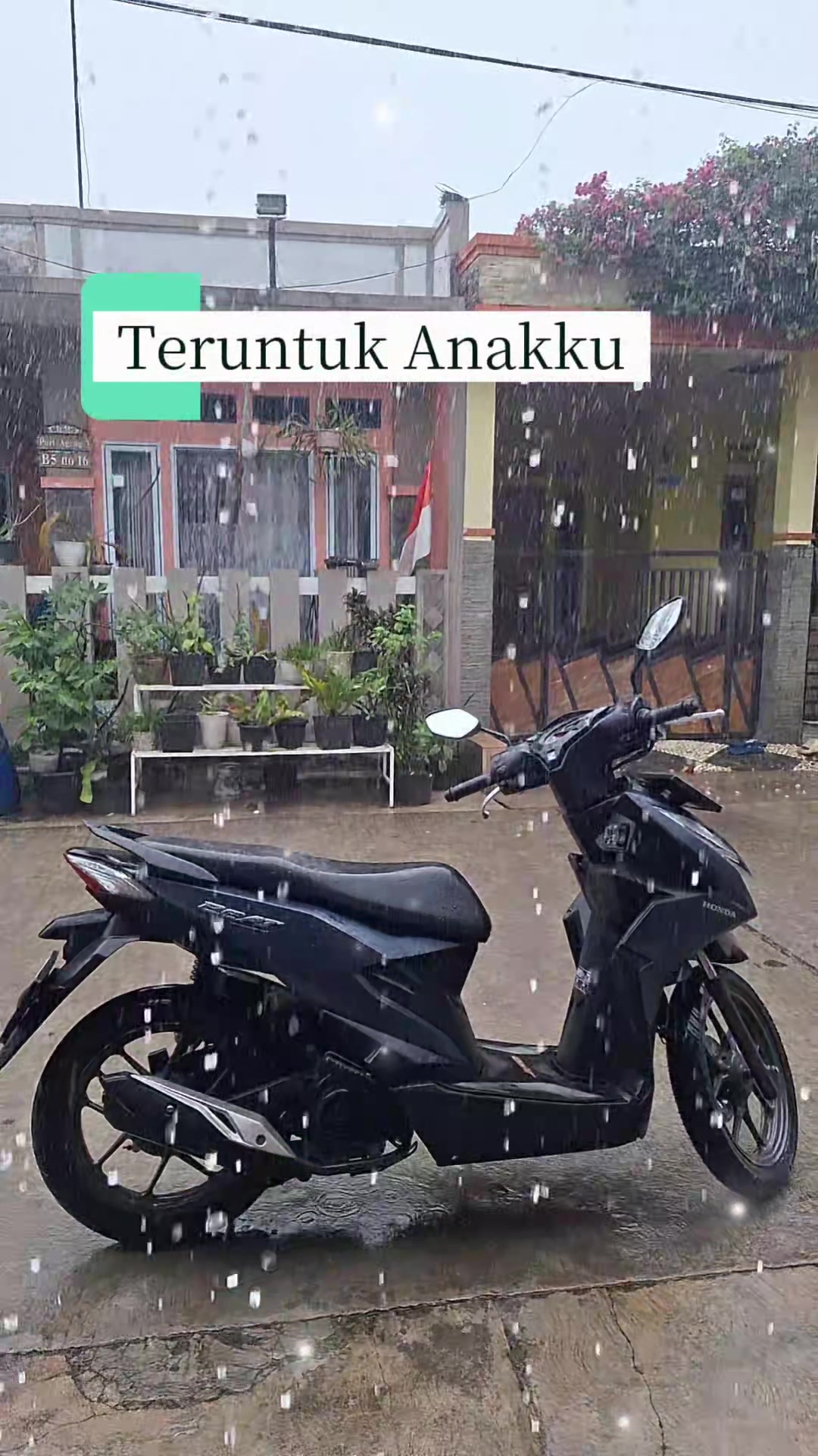 @ASALE Sesuai KTP
