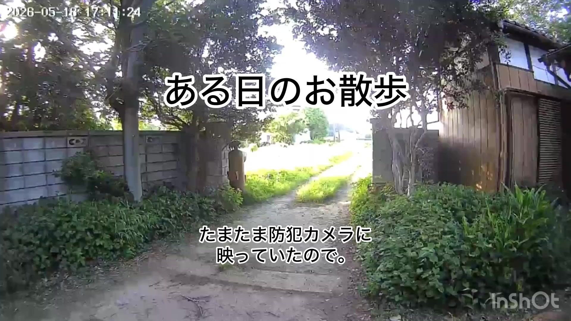 @ミウラ•リョーコ(イーツカ•リョーコ)