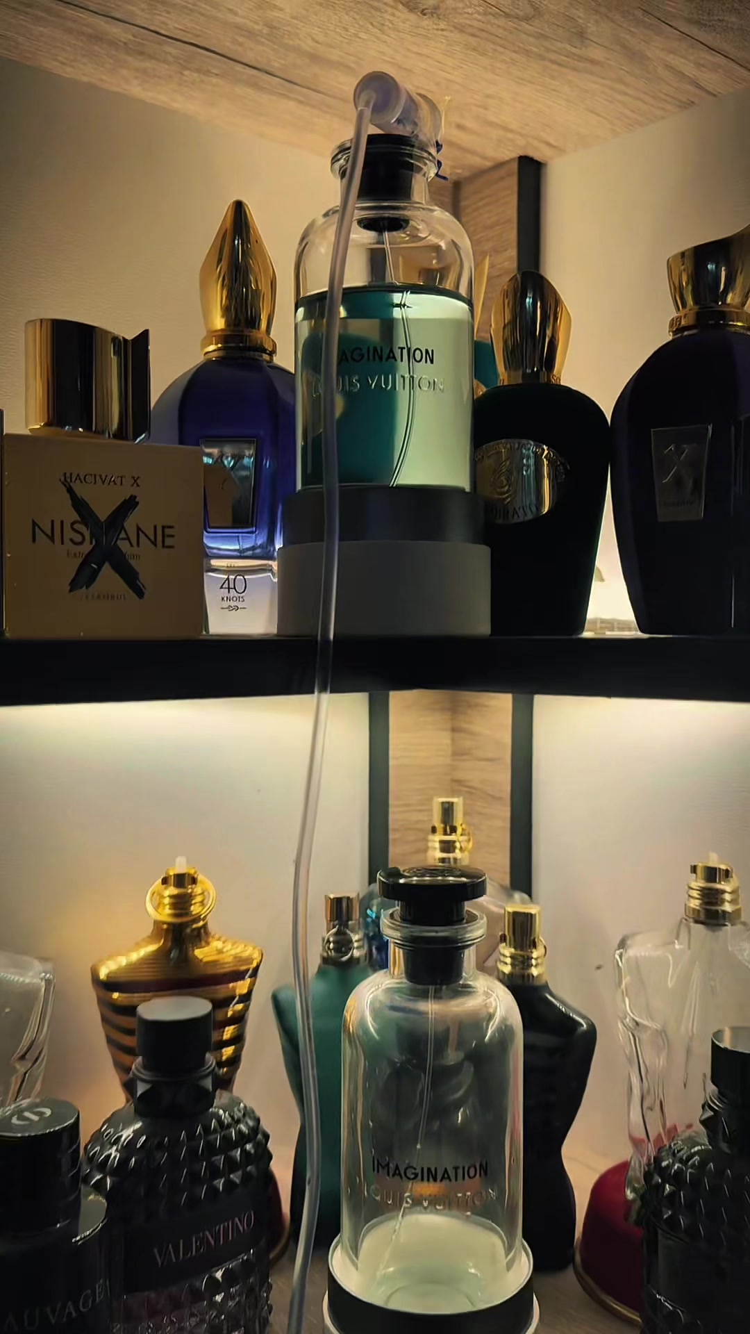 @Ramzi elixir 🇩🇿