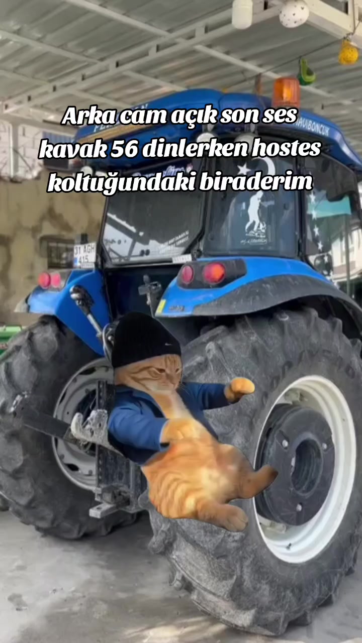 @Danyel Güler ☑️