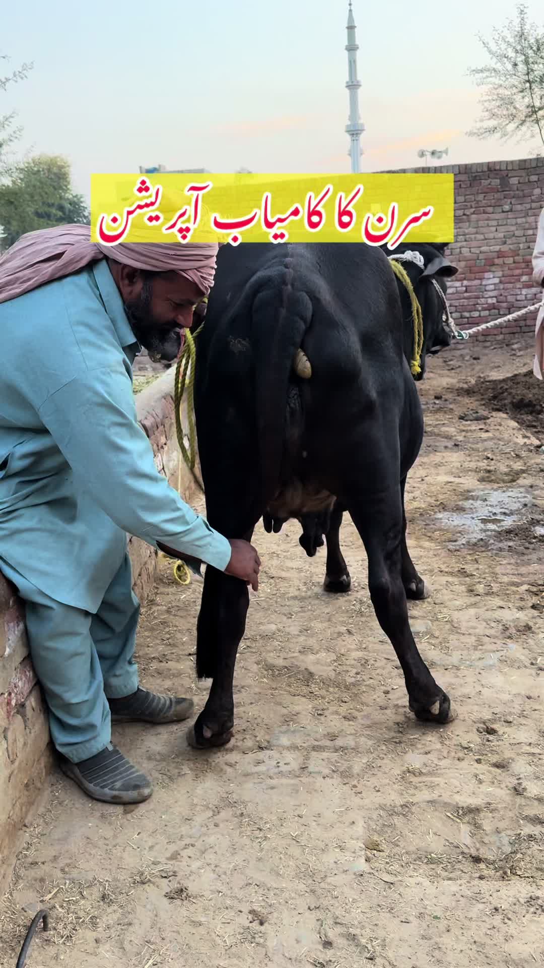 @Dr.Mohsin