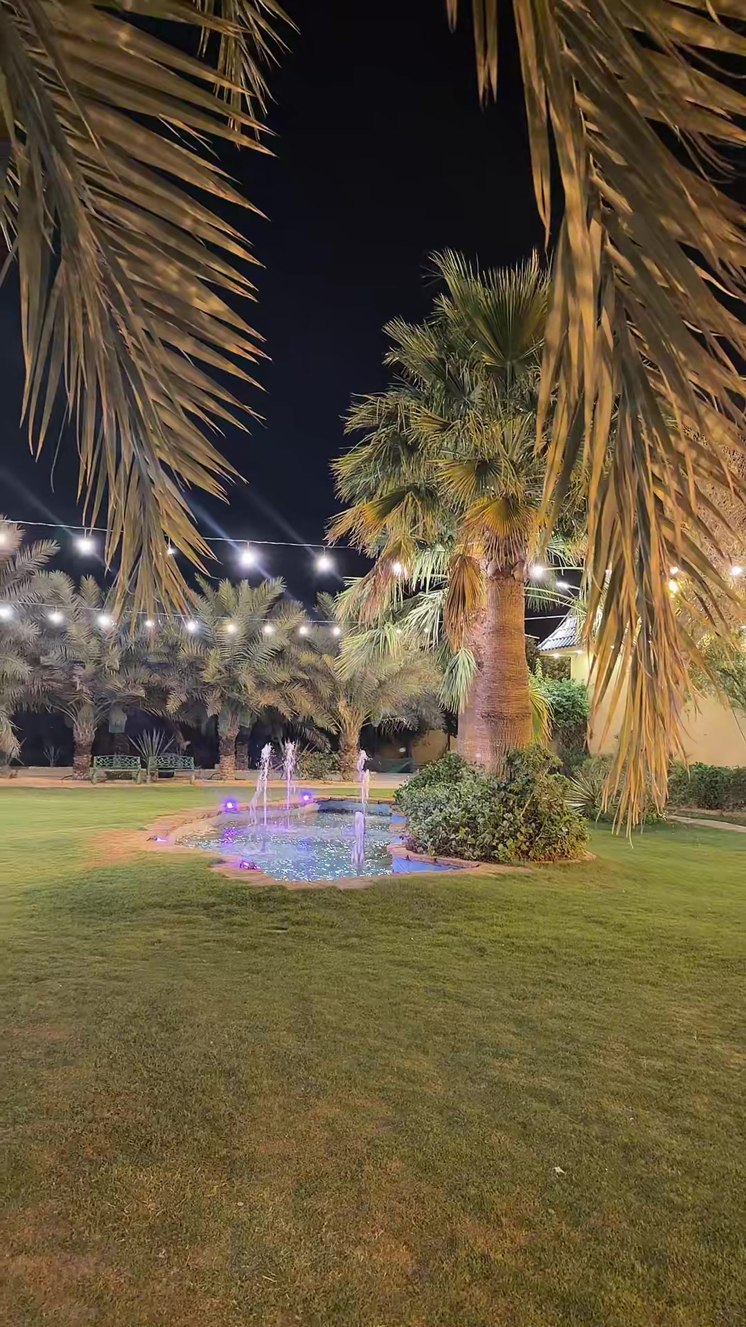 @⭐️⭐️⭐️نجمة الهيلا وبس ⭐️(١)⭐️