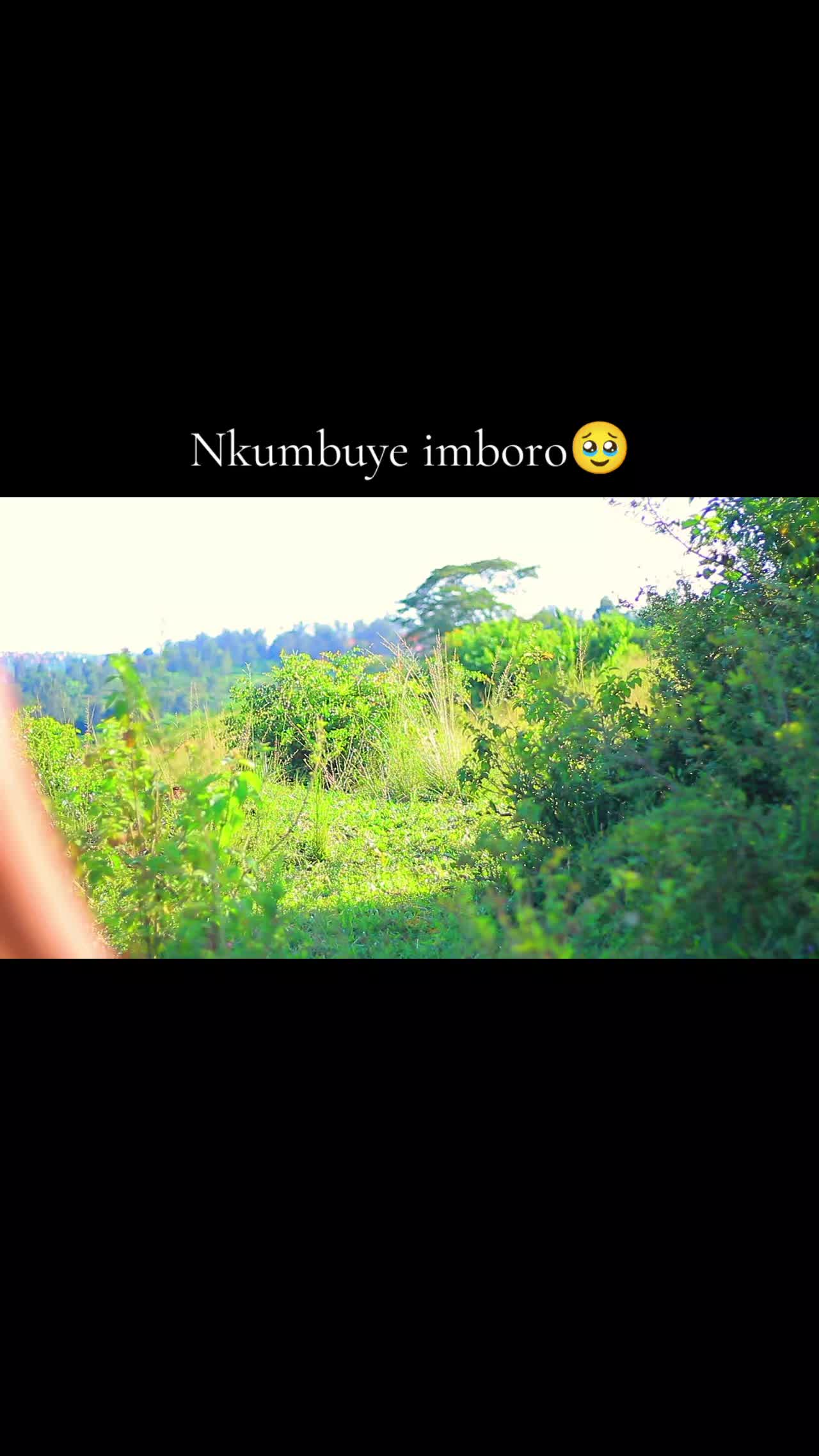 @ibishegu vya bayari