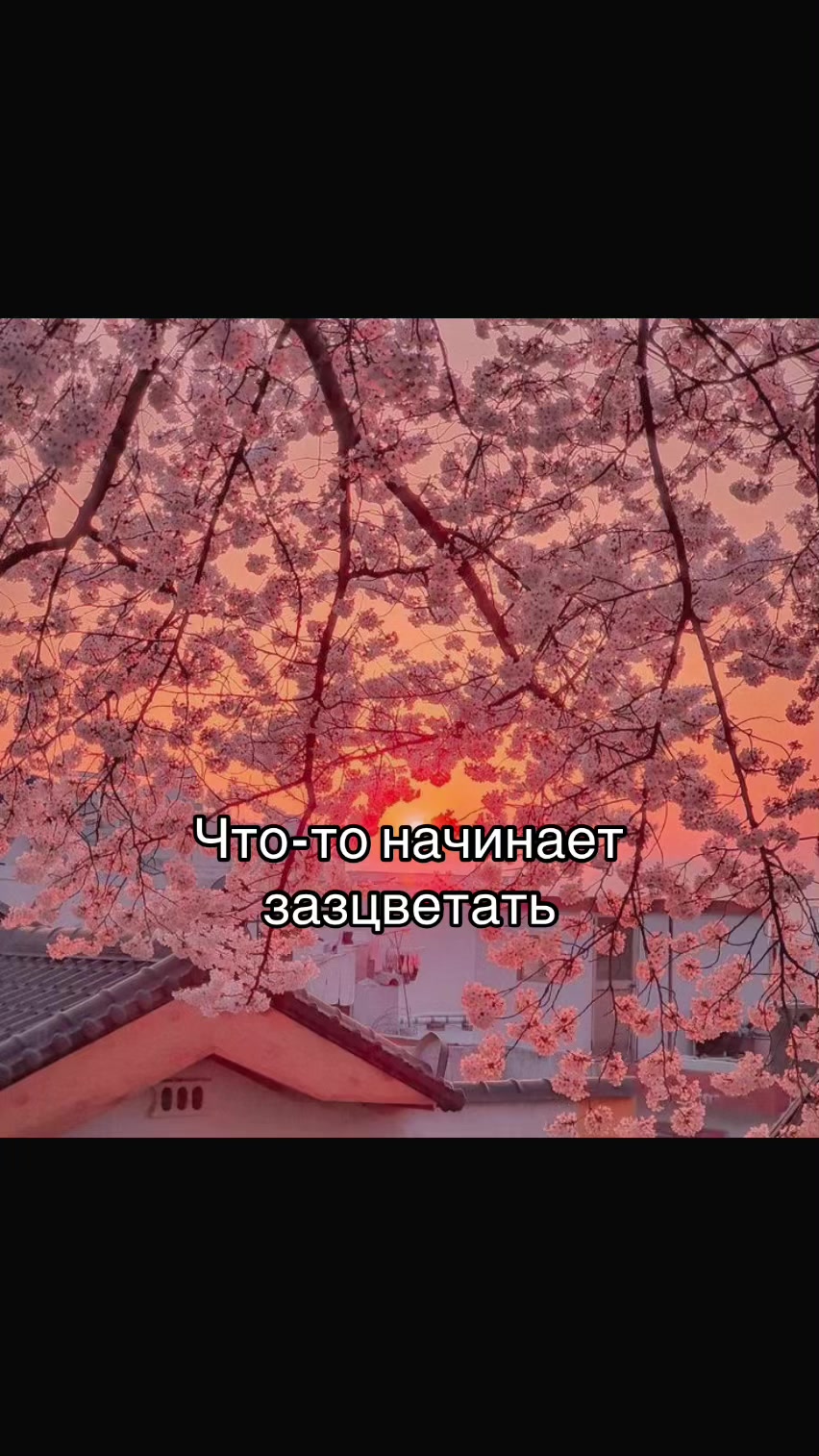 @Shanelka