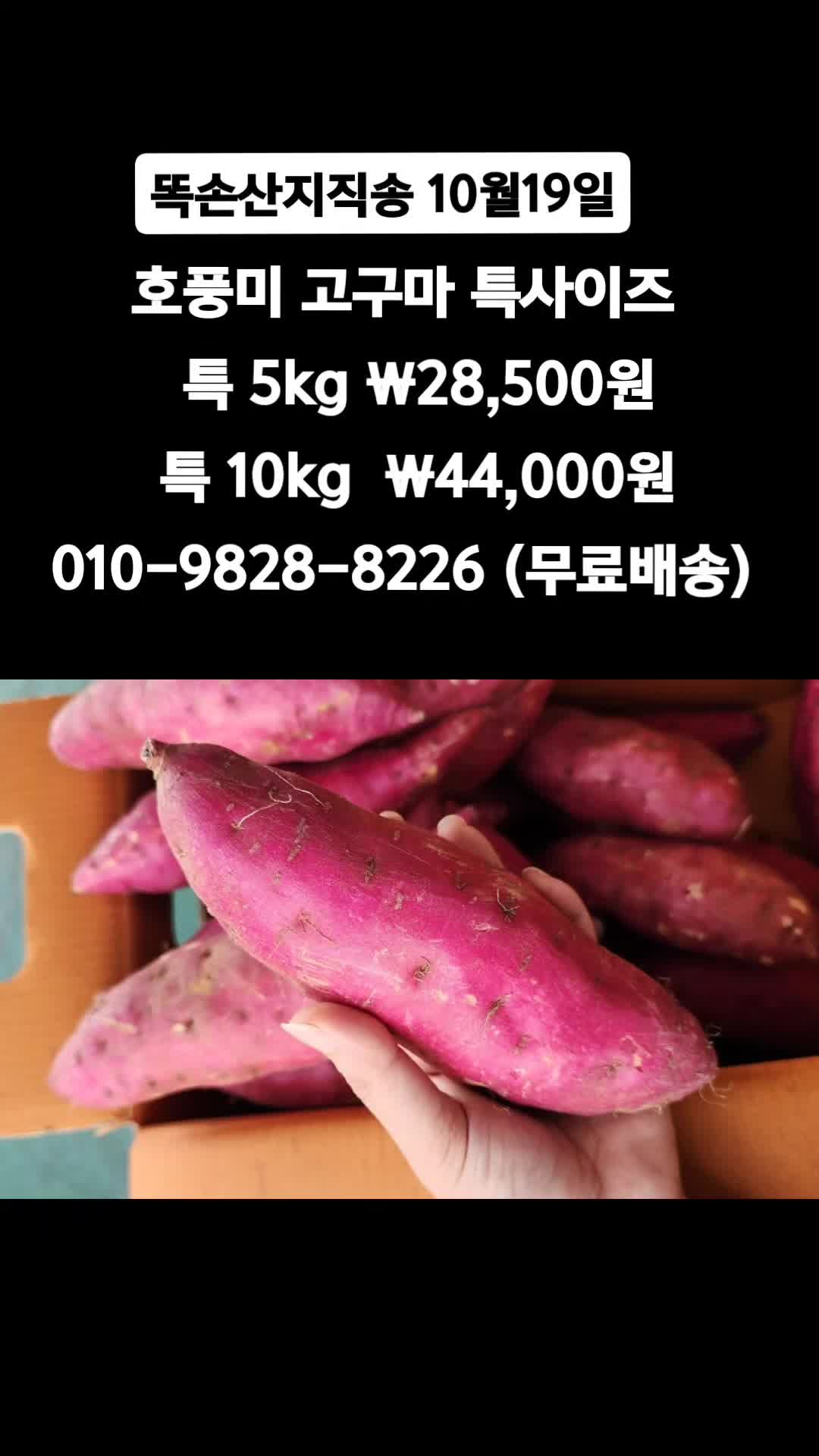 @똑손