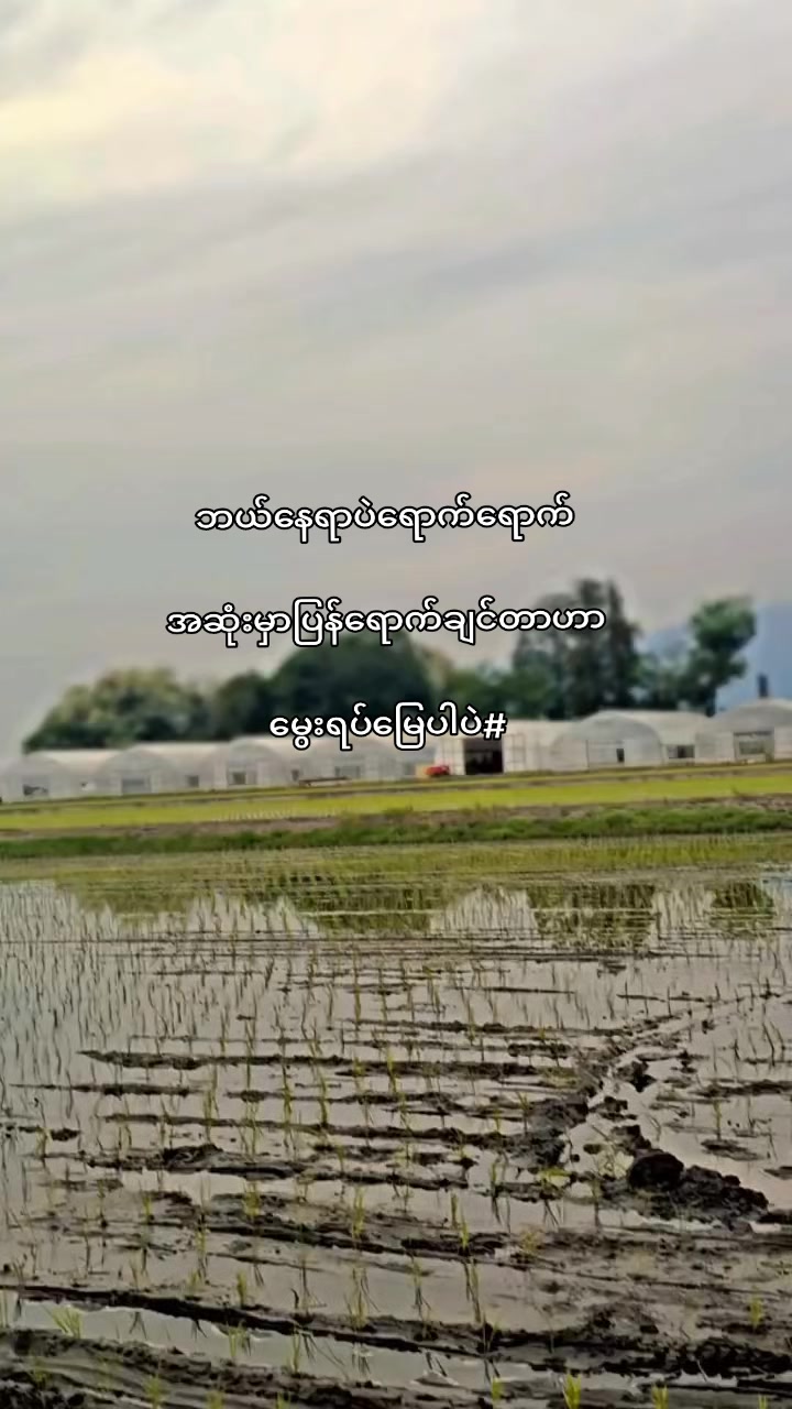 @PAN EI PHYU