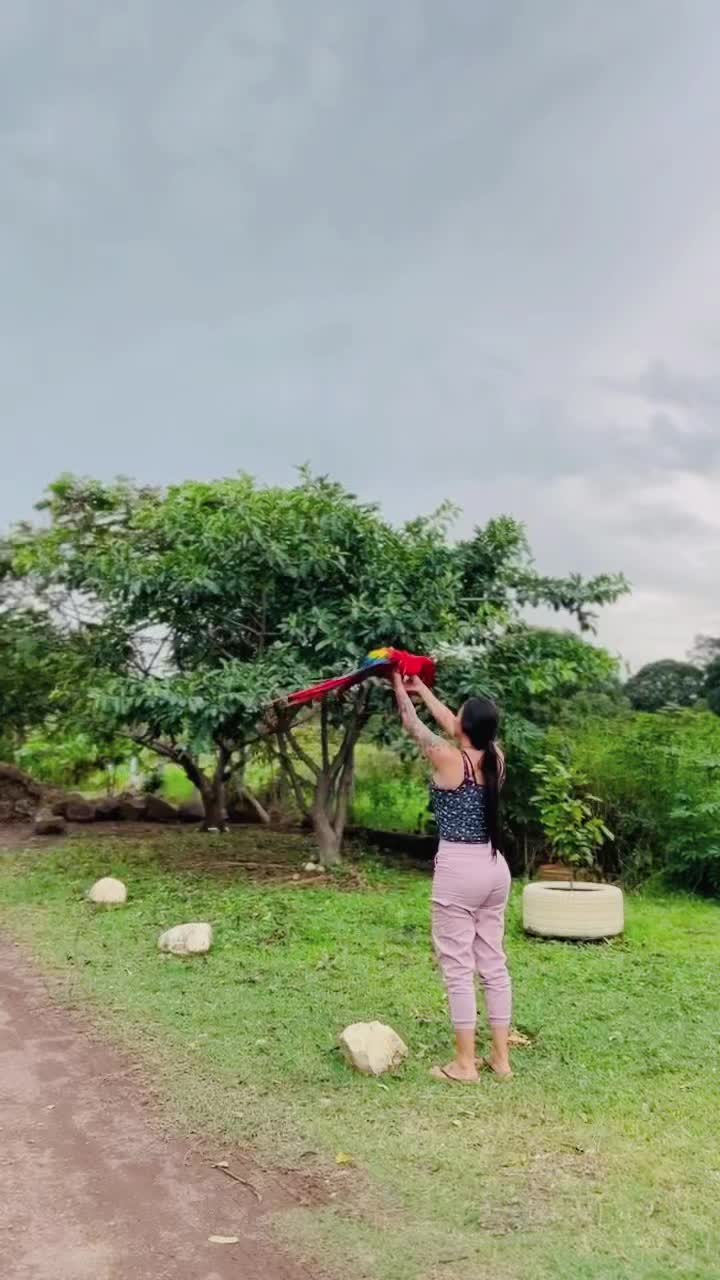 @Shir Sol&iacute;s