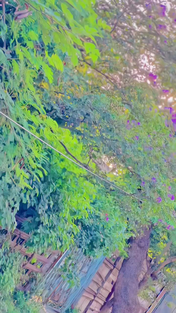 @WaقaS JaNii❤️