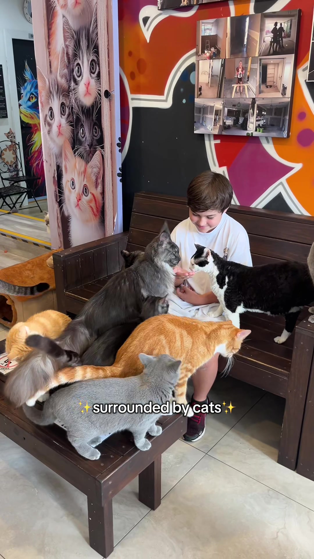 @crazycatcafe