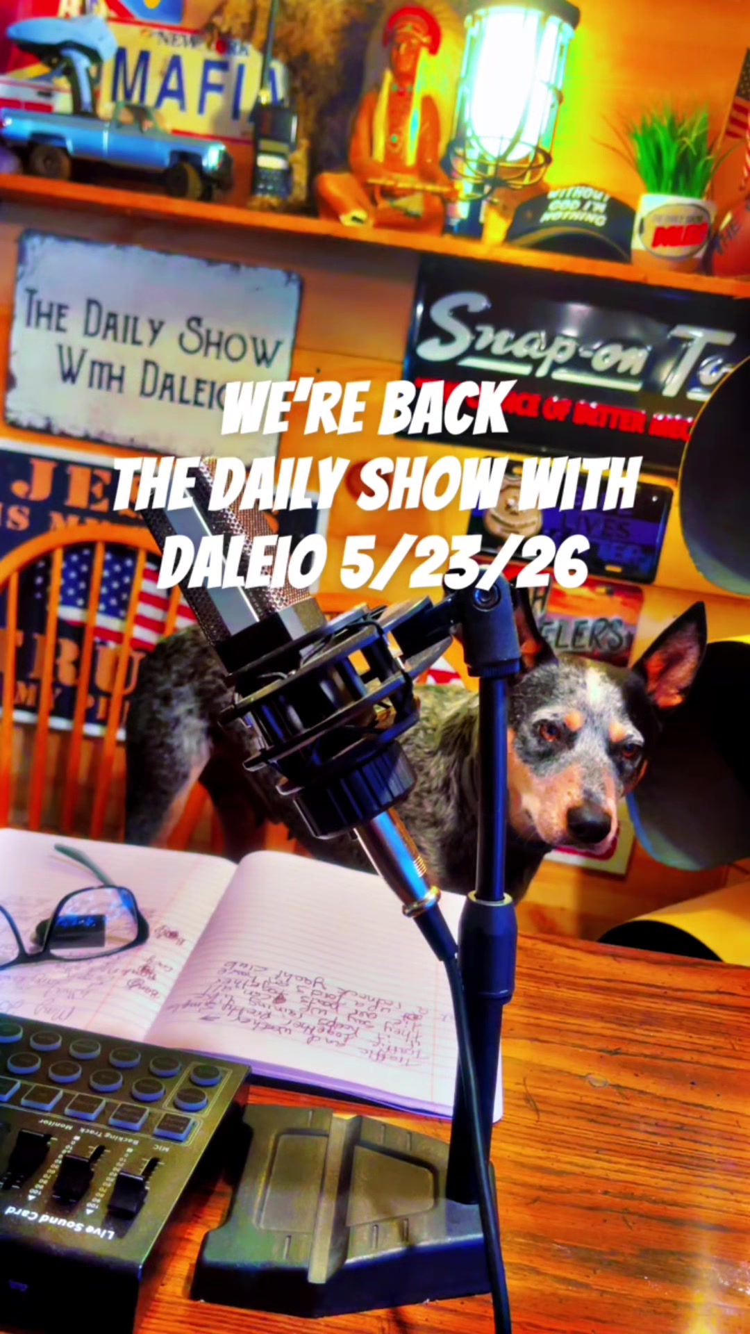 @The daily show with Daleio