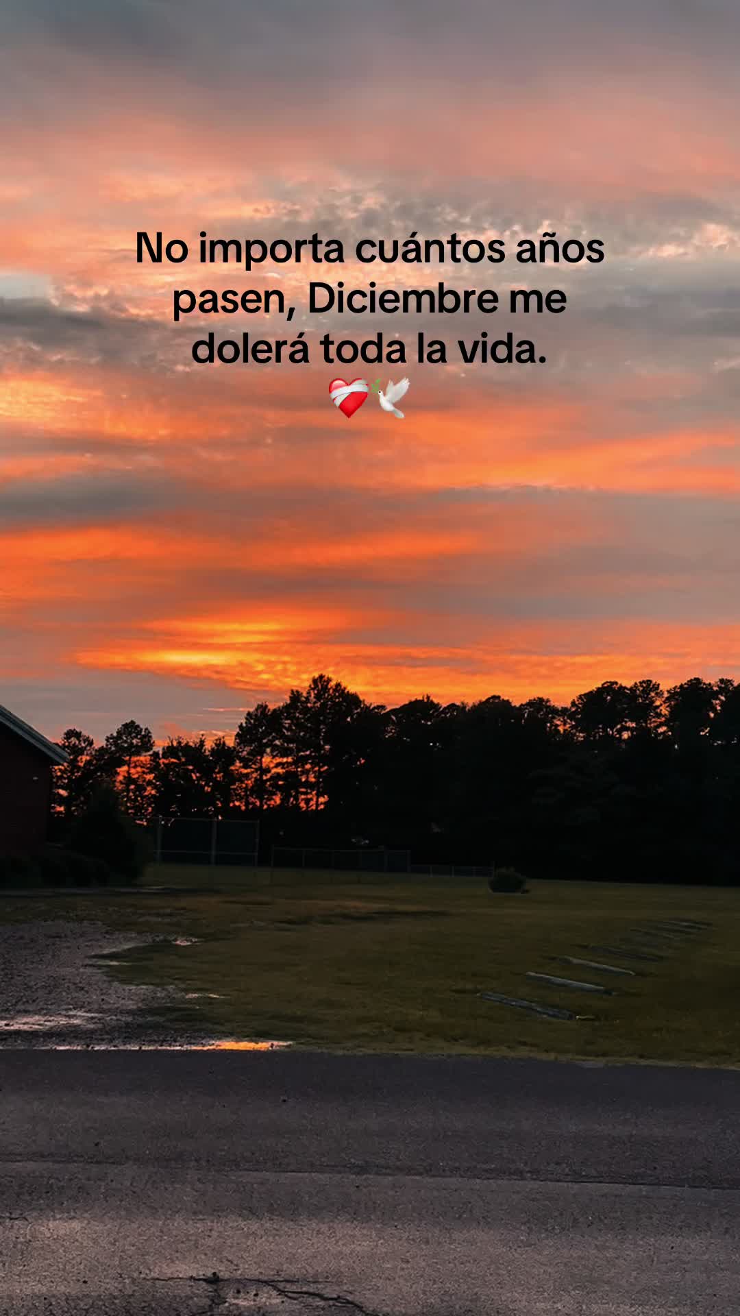 @💗✦ Vale✦🎀🧸