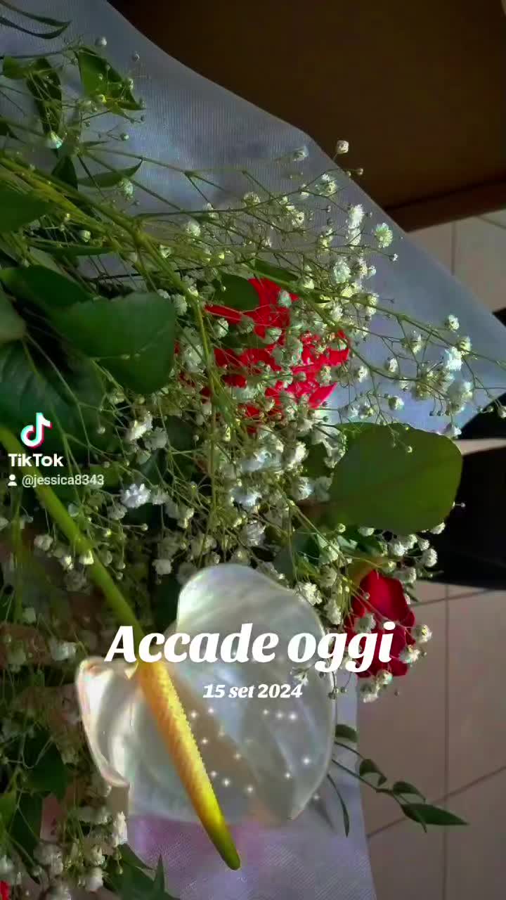 @Acida MENTE