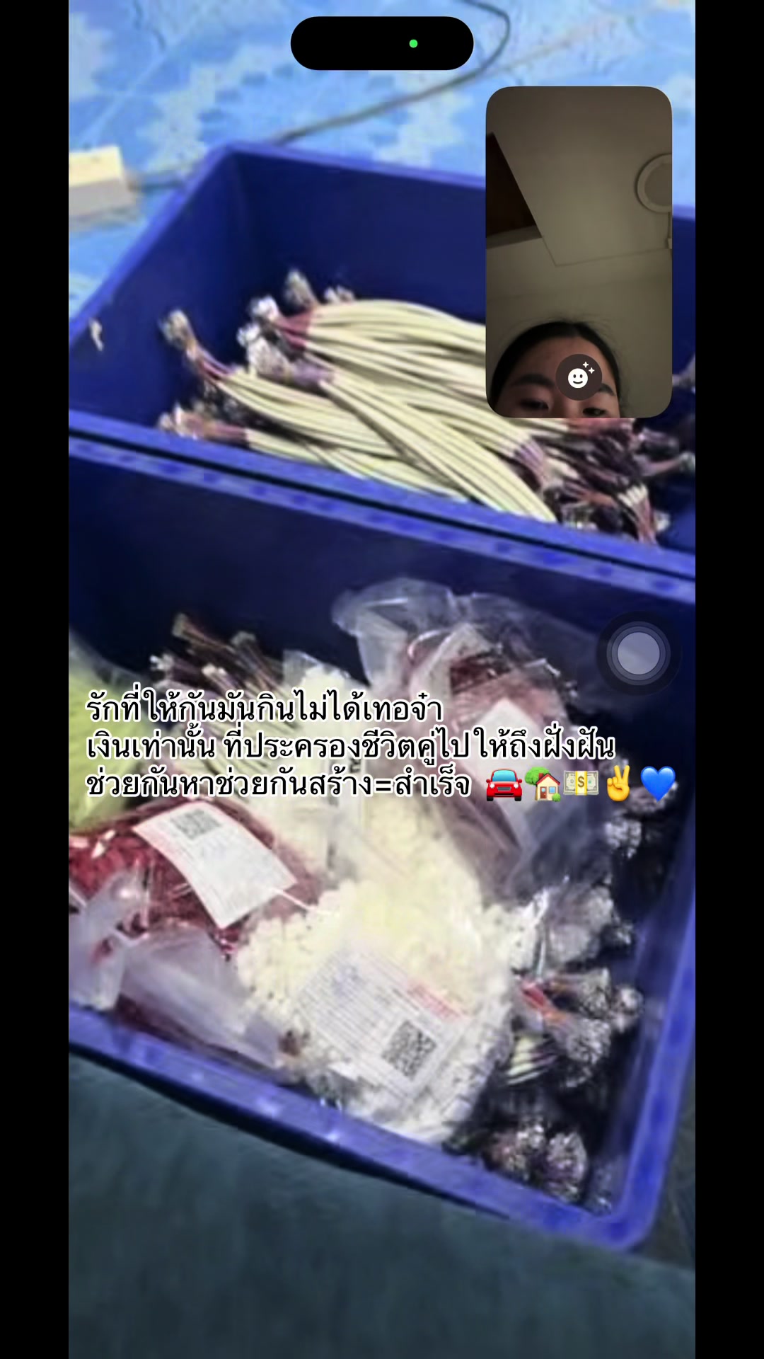 @Phuangprakaikaeo