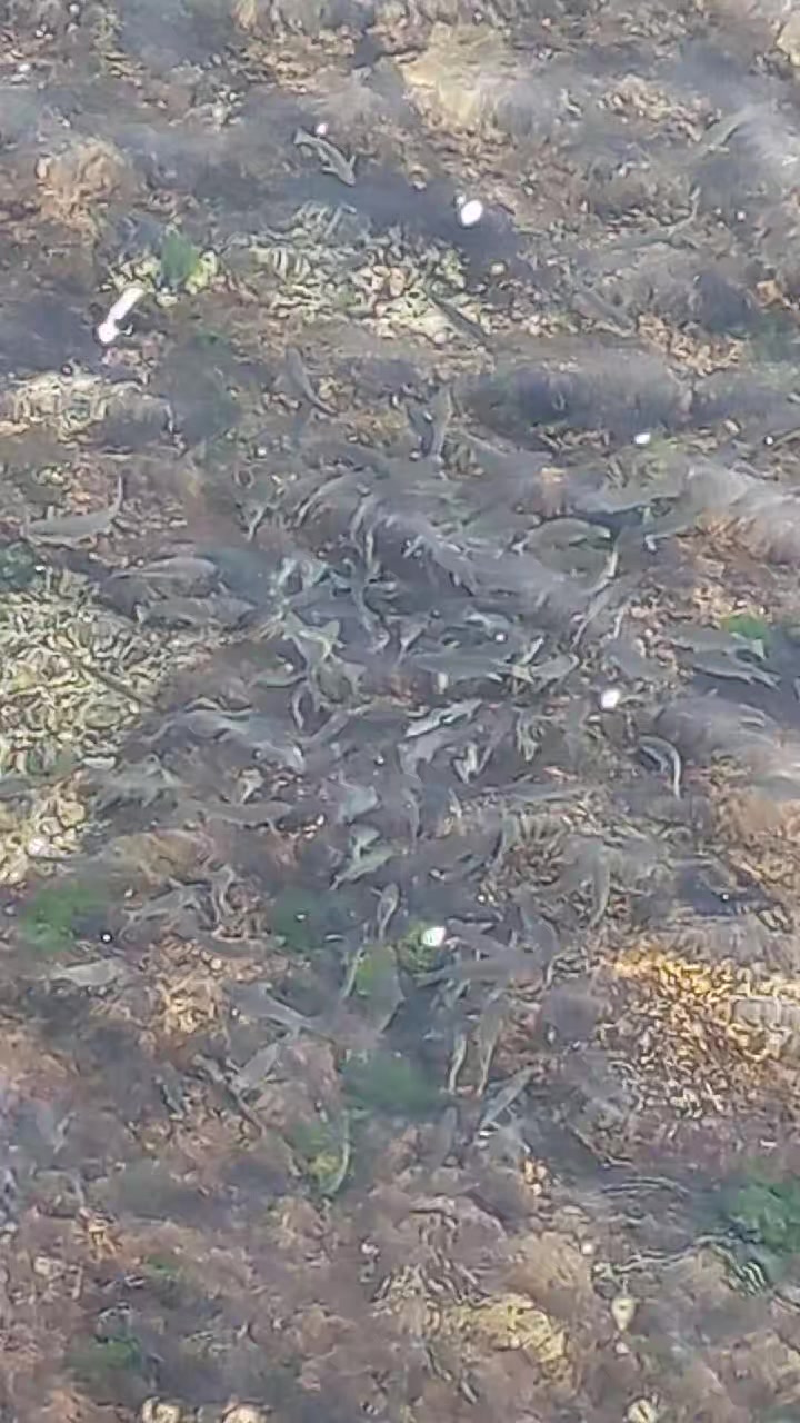 @ঘুমন্ত শহর