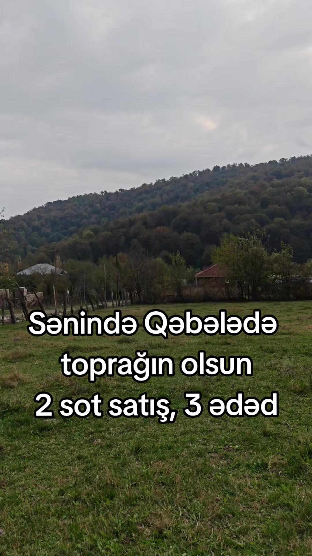 @Qəbələdə əmlak satışı