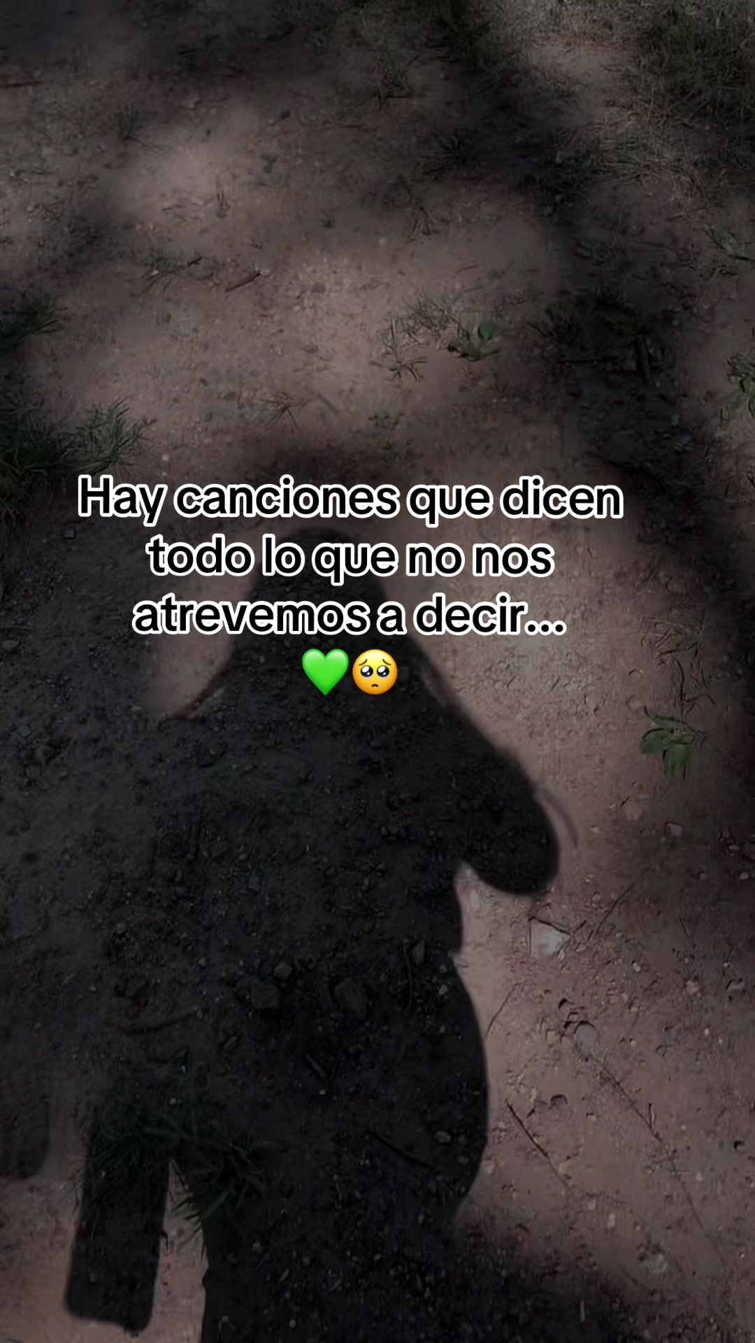 @:(Frases-de-todo 😇🥰