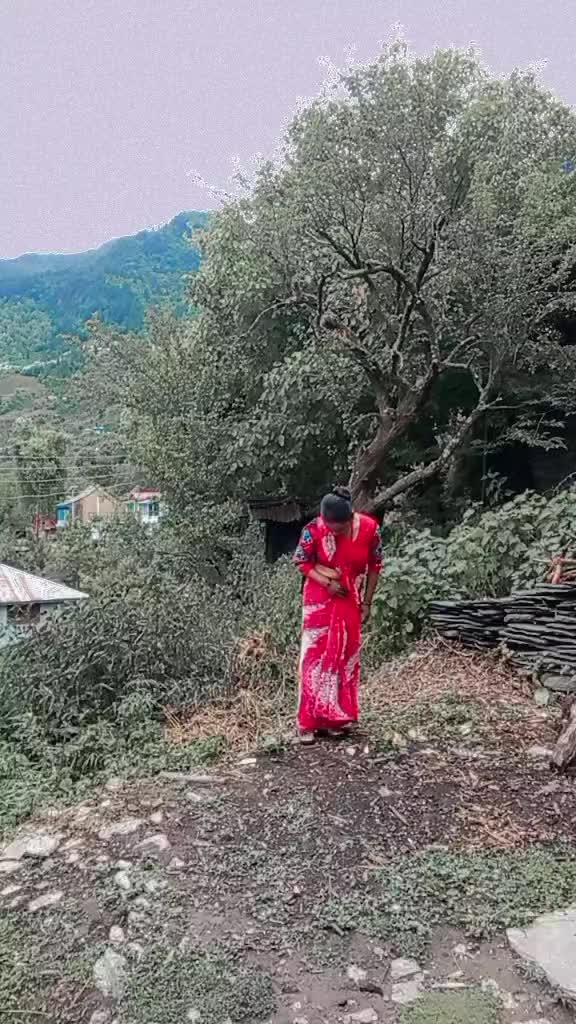 @fuchhibinu