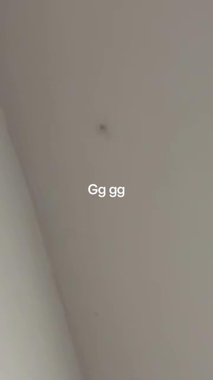 @Romel55