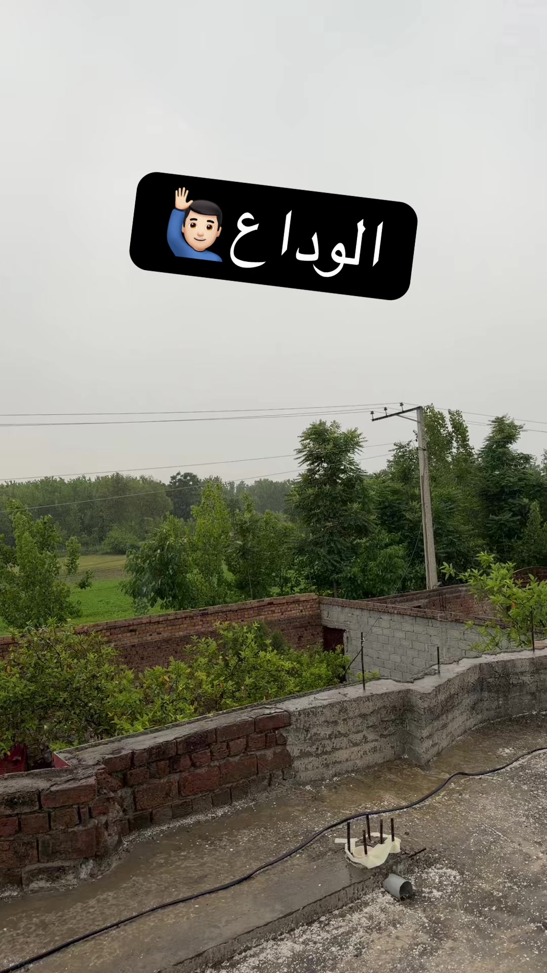 @M❤️🩹I🥀R🌸F🌸A😍N