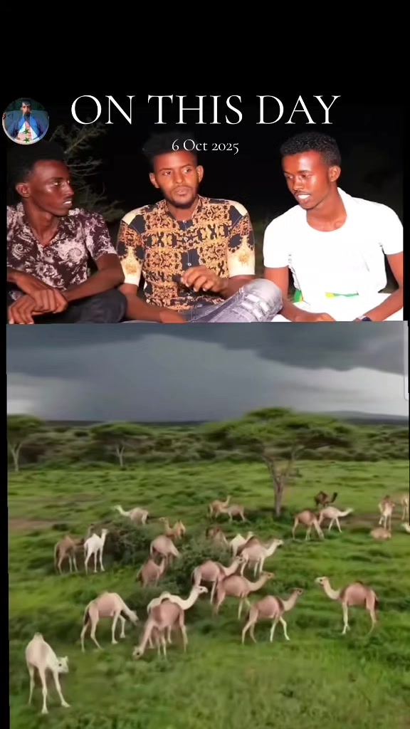 @CIISE GALMUDUGTV🇩🇯JAXAF.JXAF