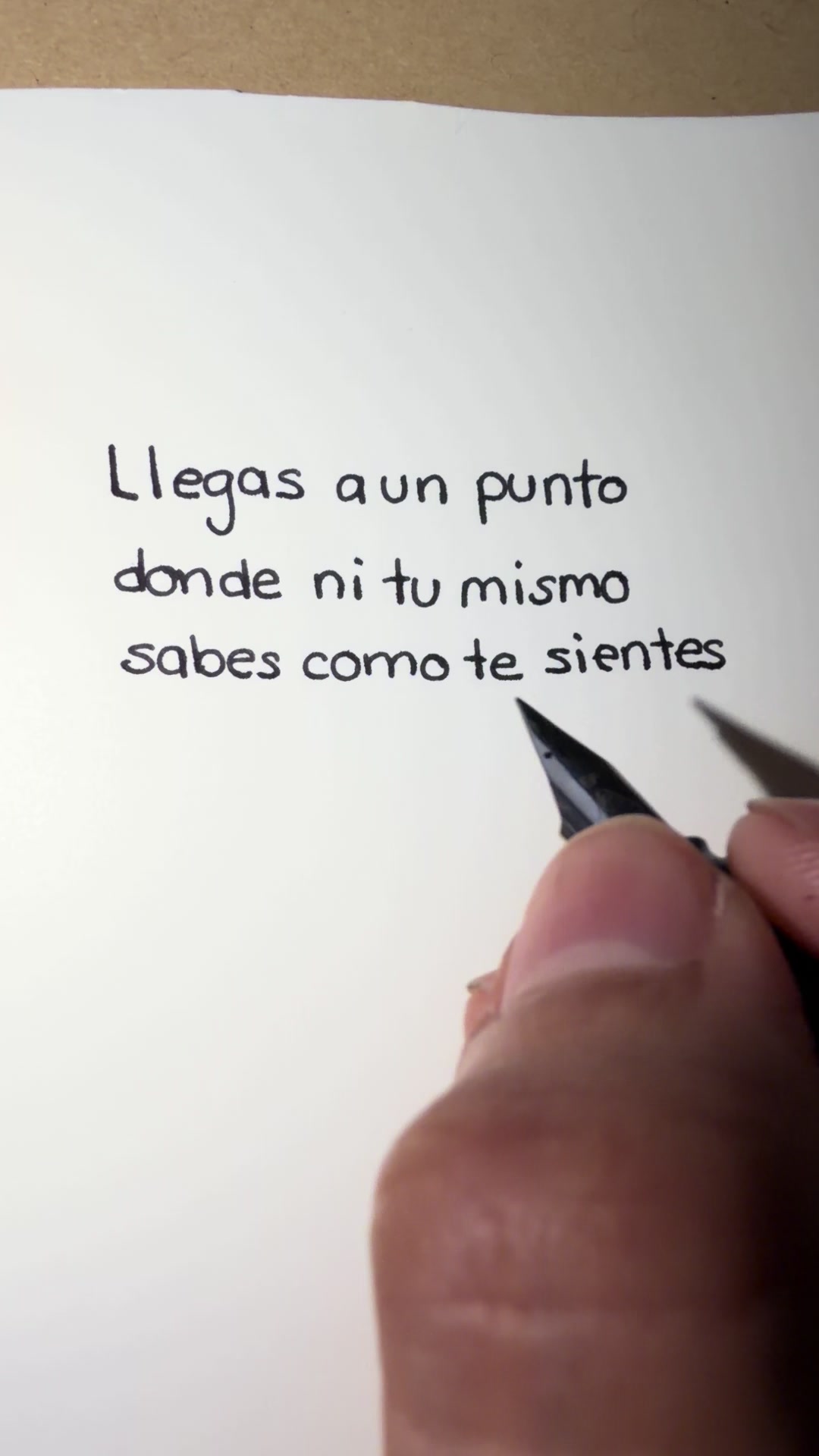 @crisfecnotas🌙