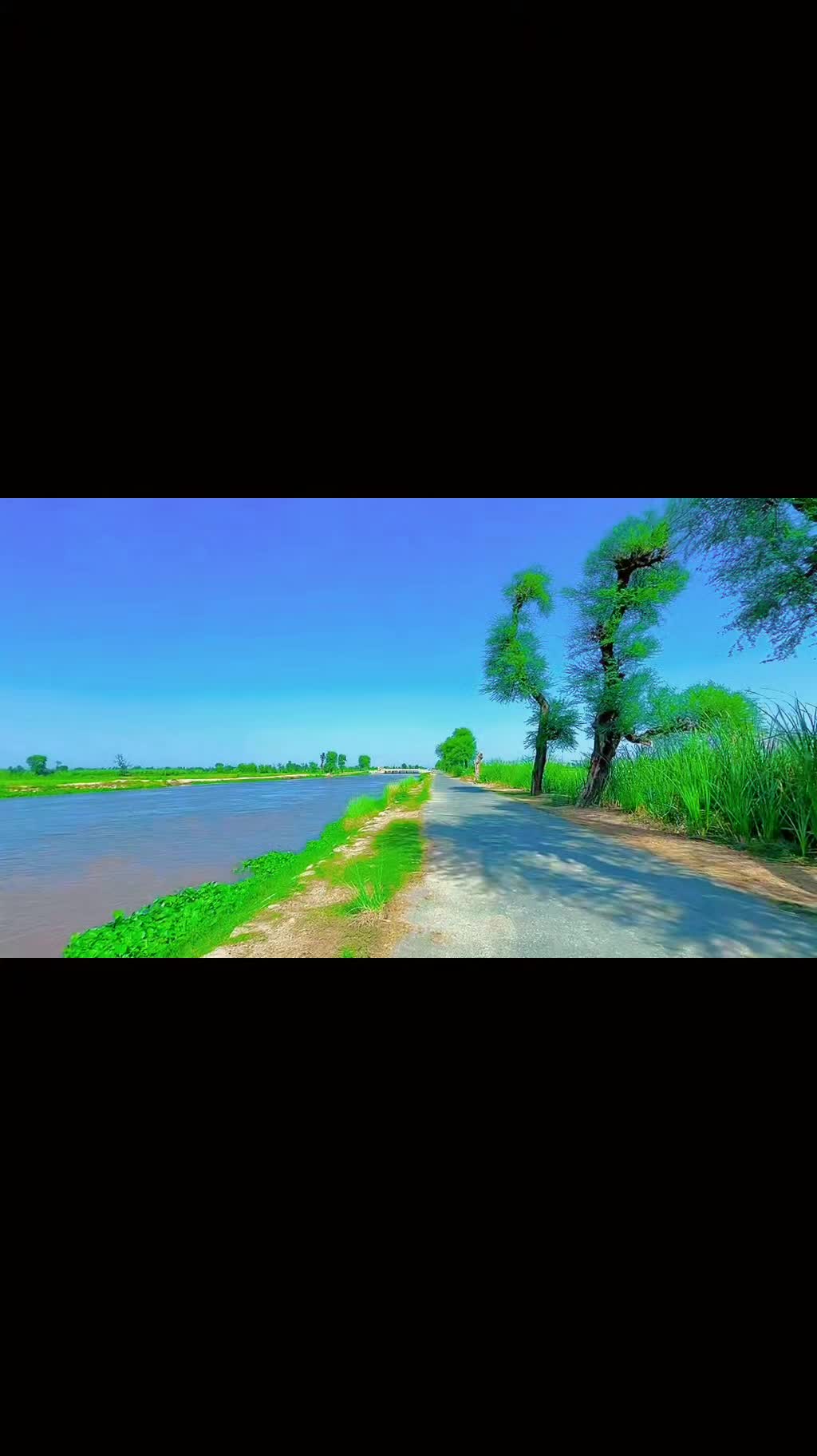 @Mano Lahore wali