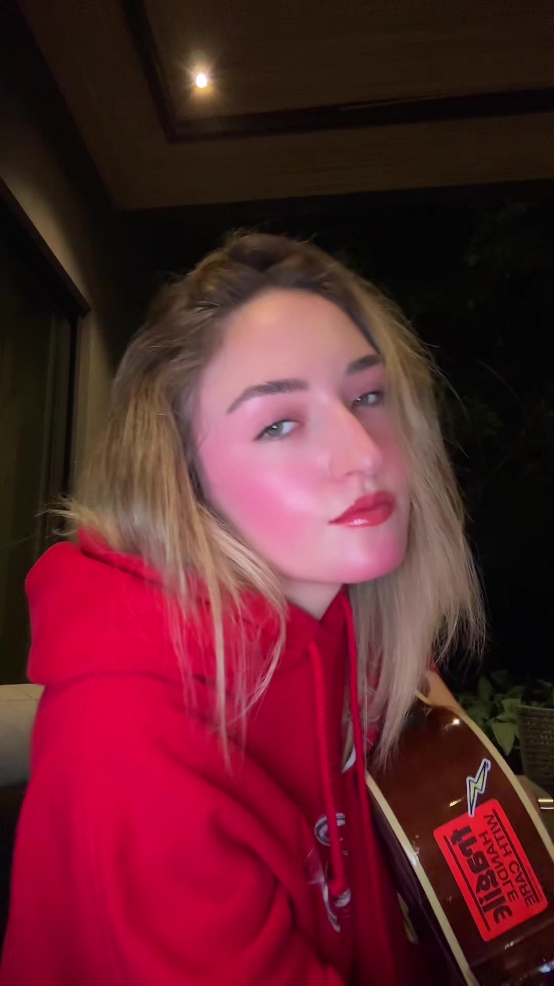 @luisavox