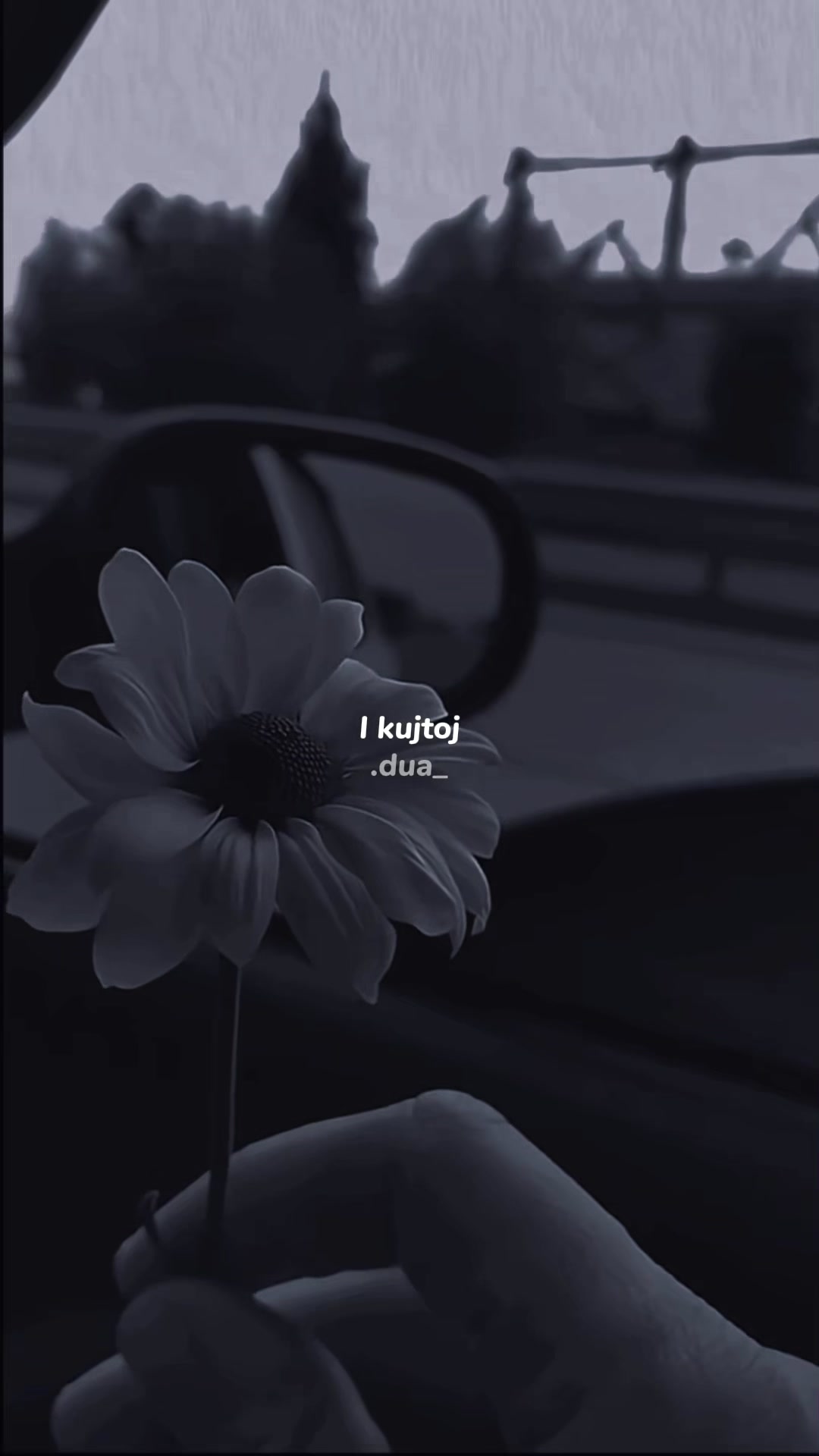 @𝗗 𝗨 𝗔