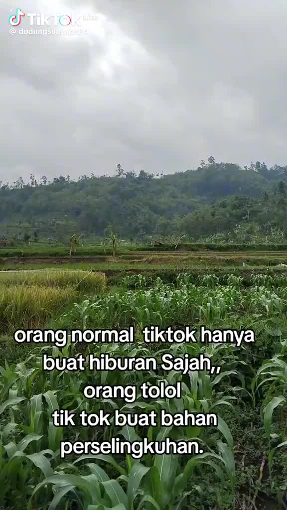 @rendi