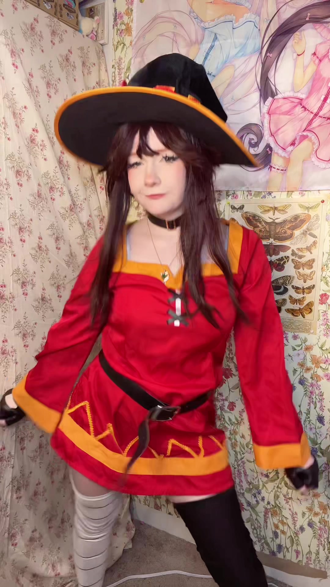 @≽^•⩊•^≼