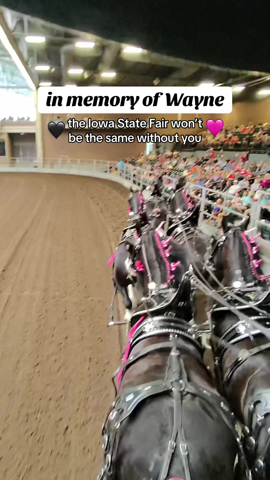 @Tisha 📸🦄 Equestrian&ensp;Photog